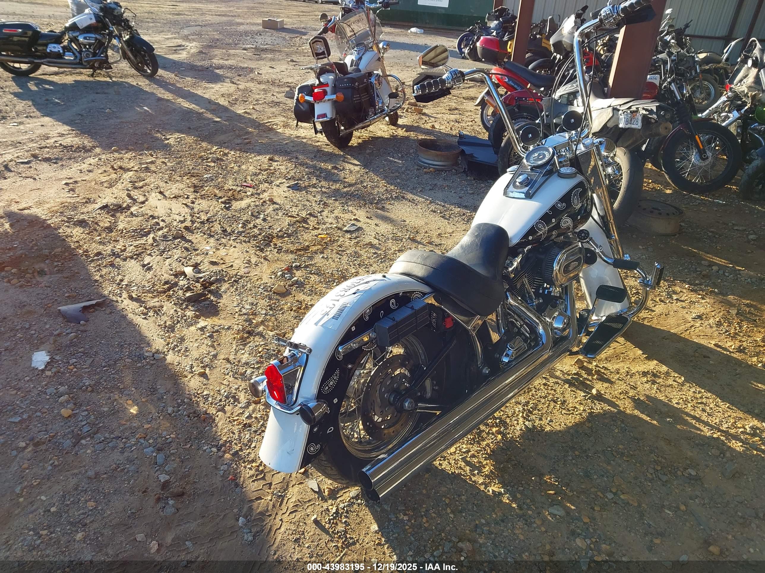 HARLEY-DAVIDSON FLSTN image 4