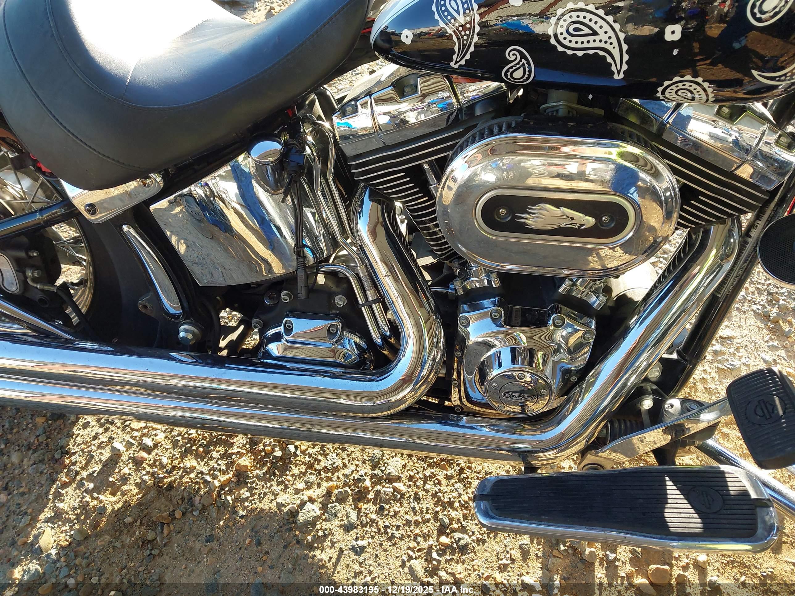 HARLEY-DAVIDSON FLSTN image 8