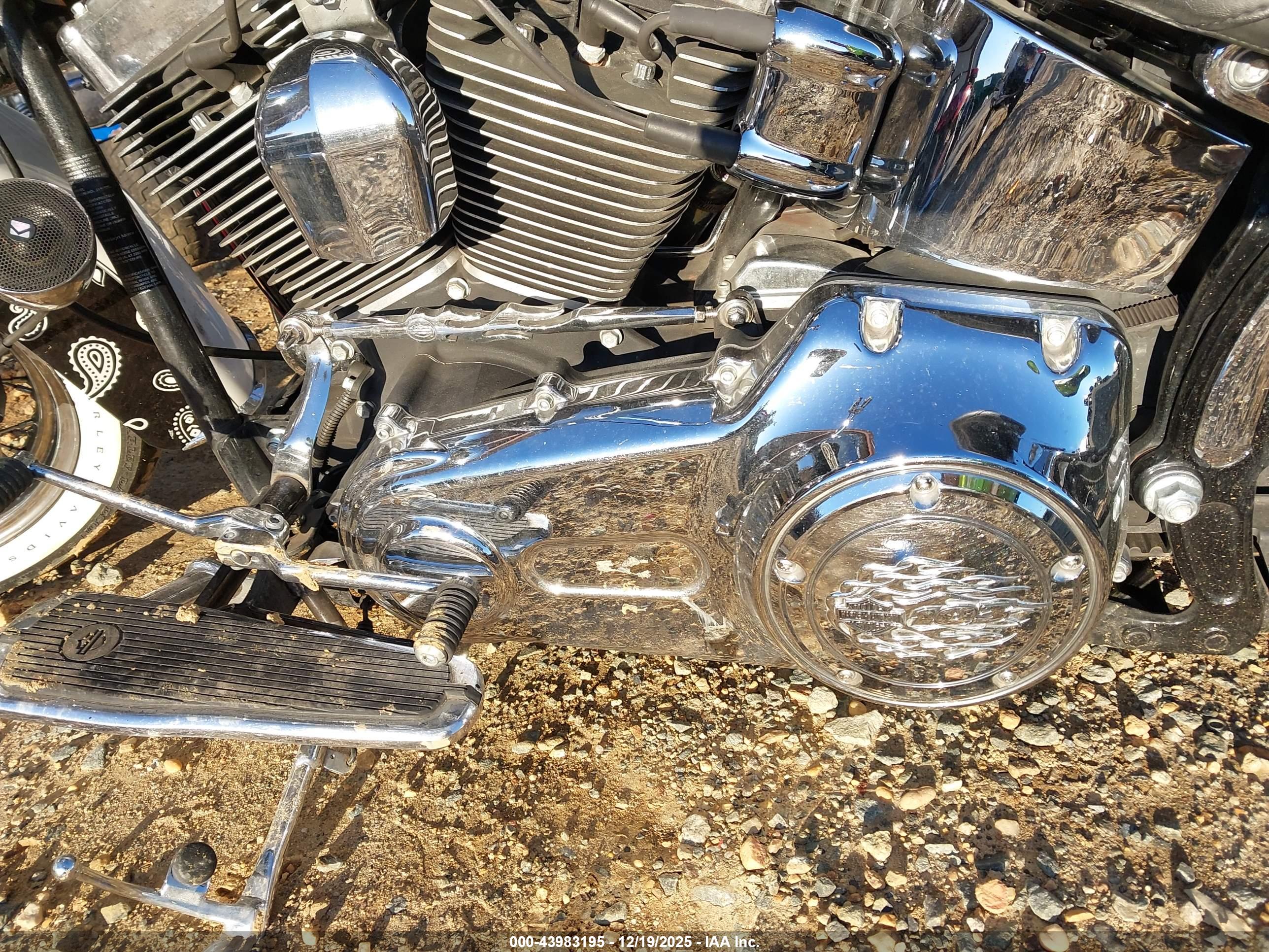 HARLEY-DAVIDSON FLSTN image 9