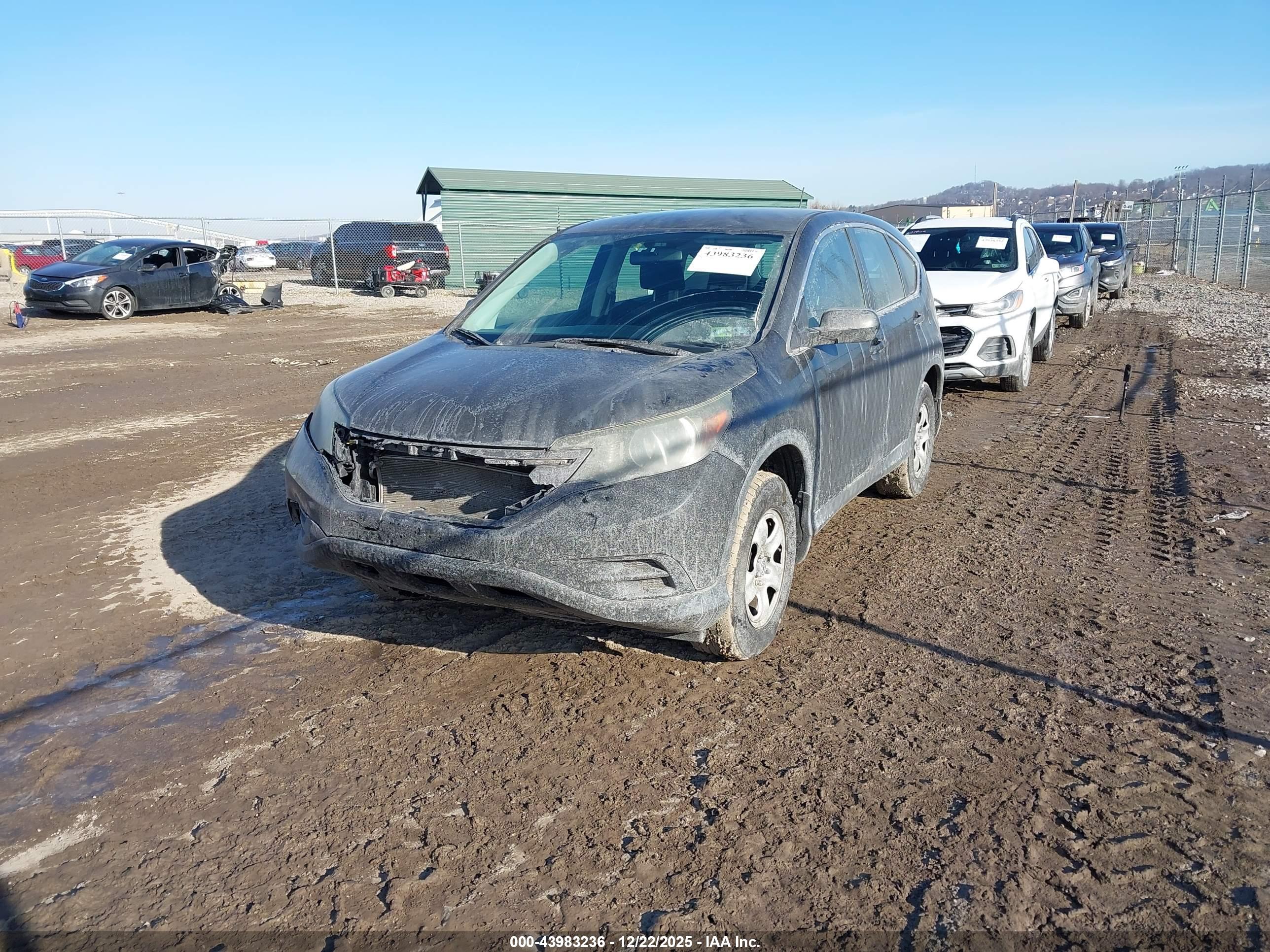 HONDA CR-V image 2