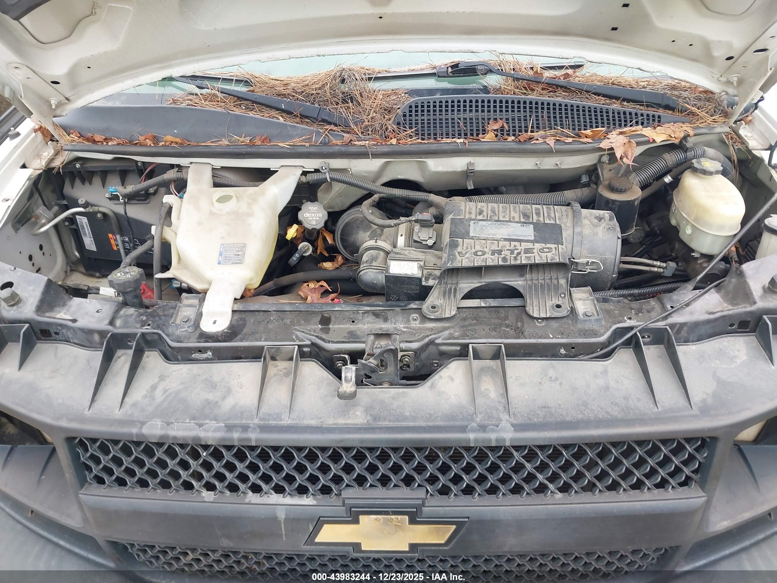 CHEVROLET EXPRESS image 10