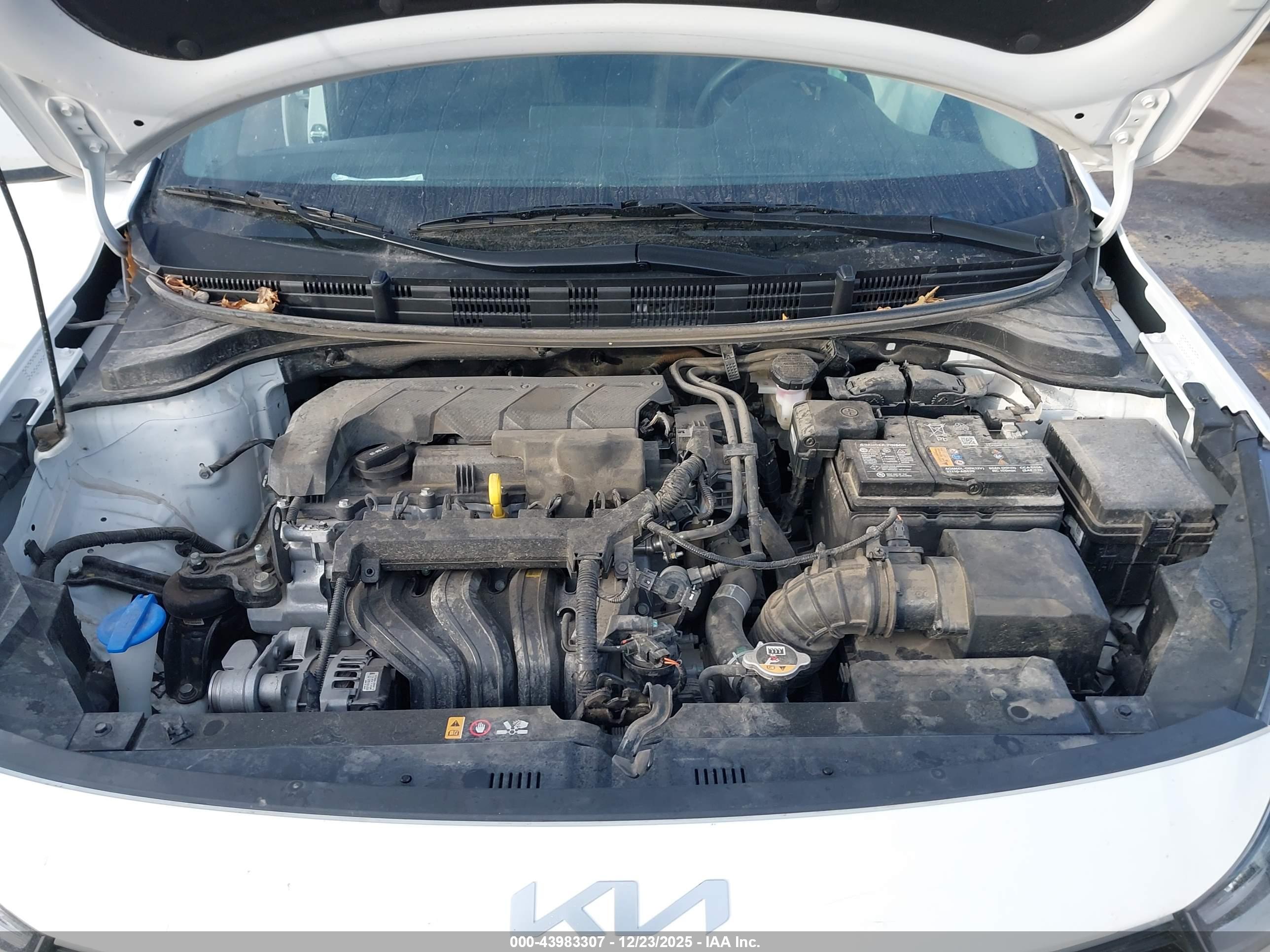 KIA RIO image 10
