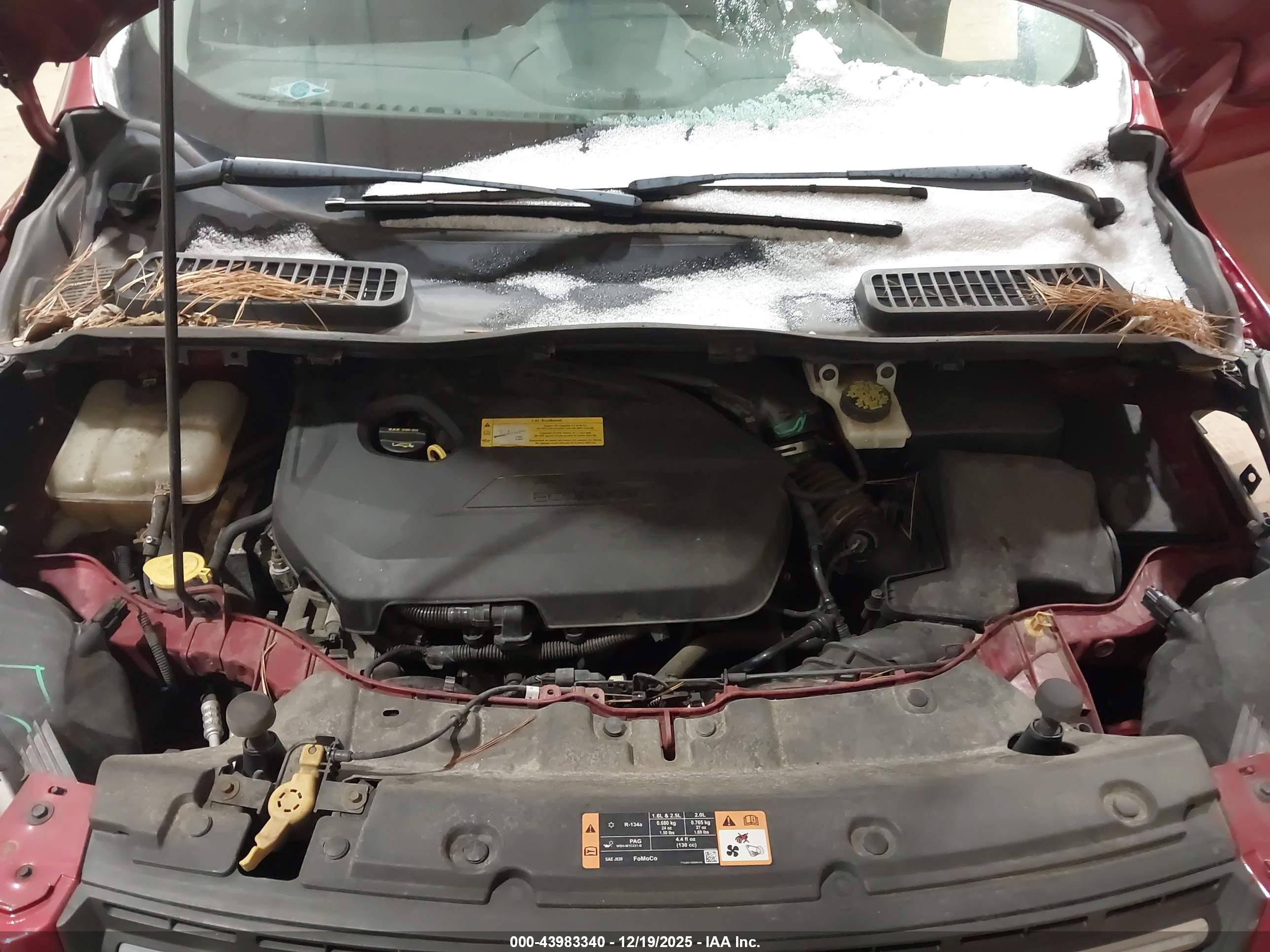 FORD ESCAPE image 10