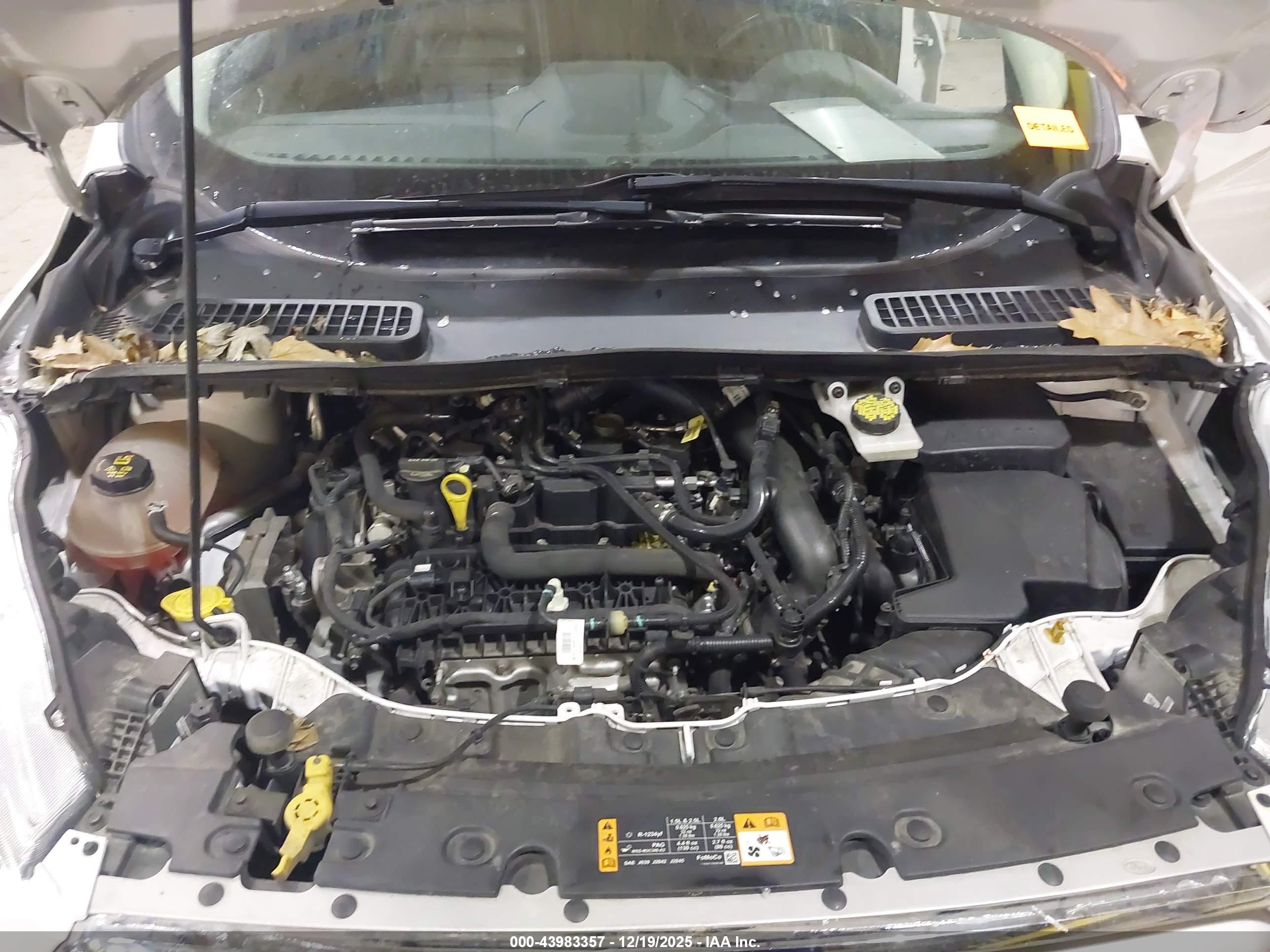 FORD ESCAPE image 10