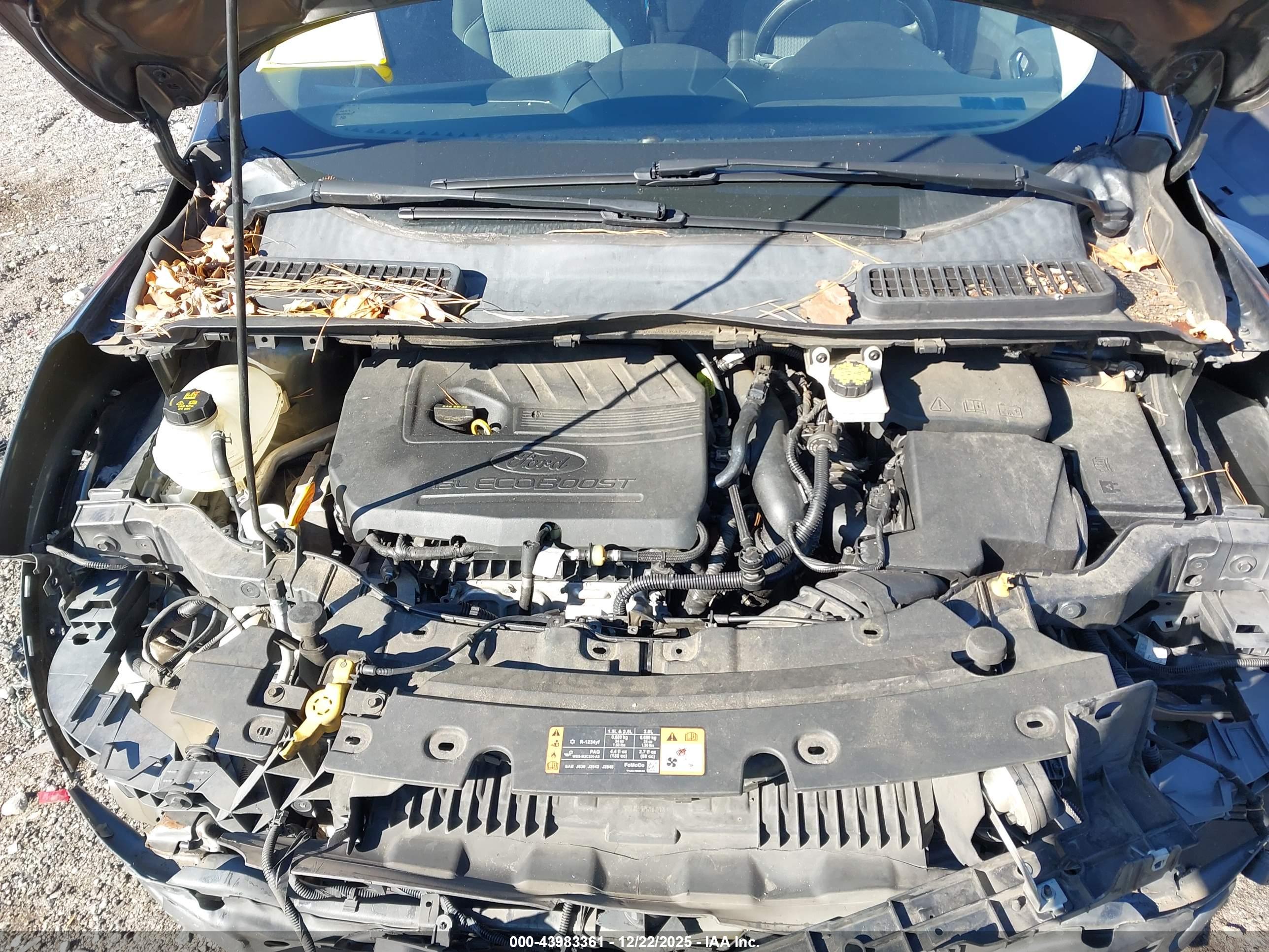FORD ESCAPE image 10