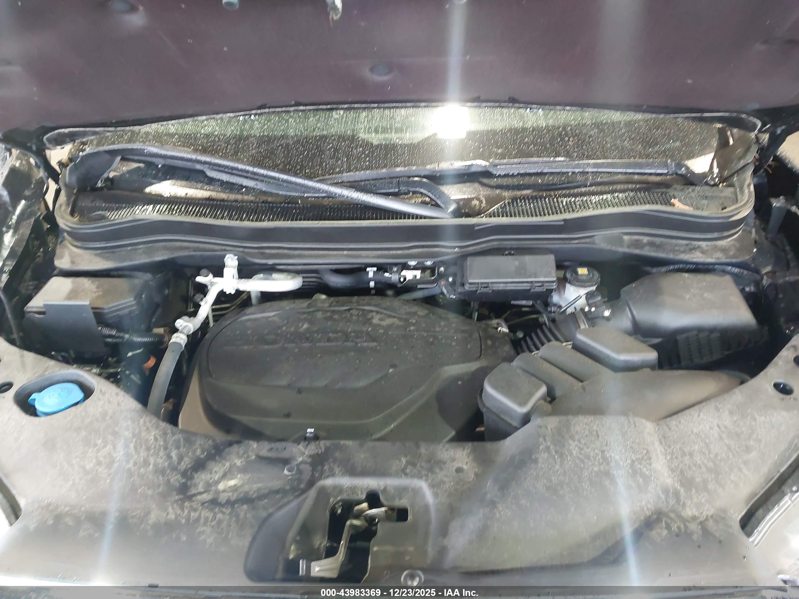HONDA PASSPORT image 10