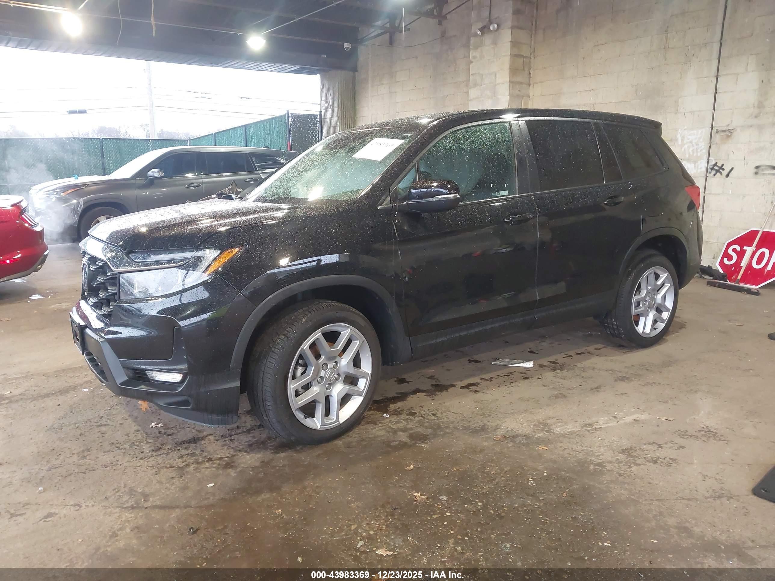 HONDA PASSPORT image 2