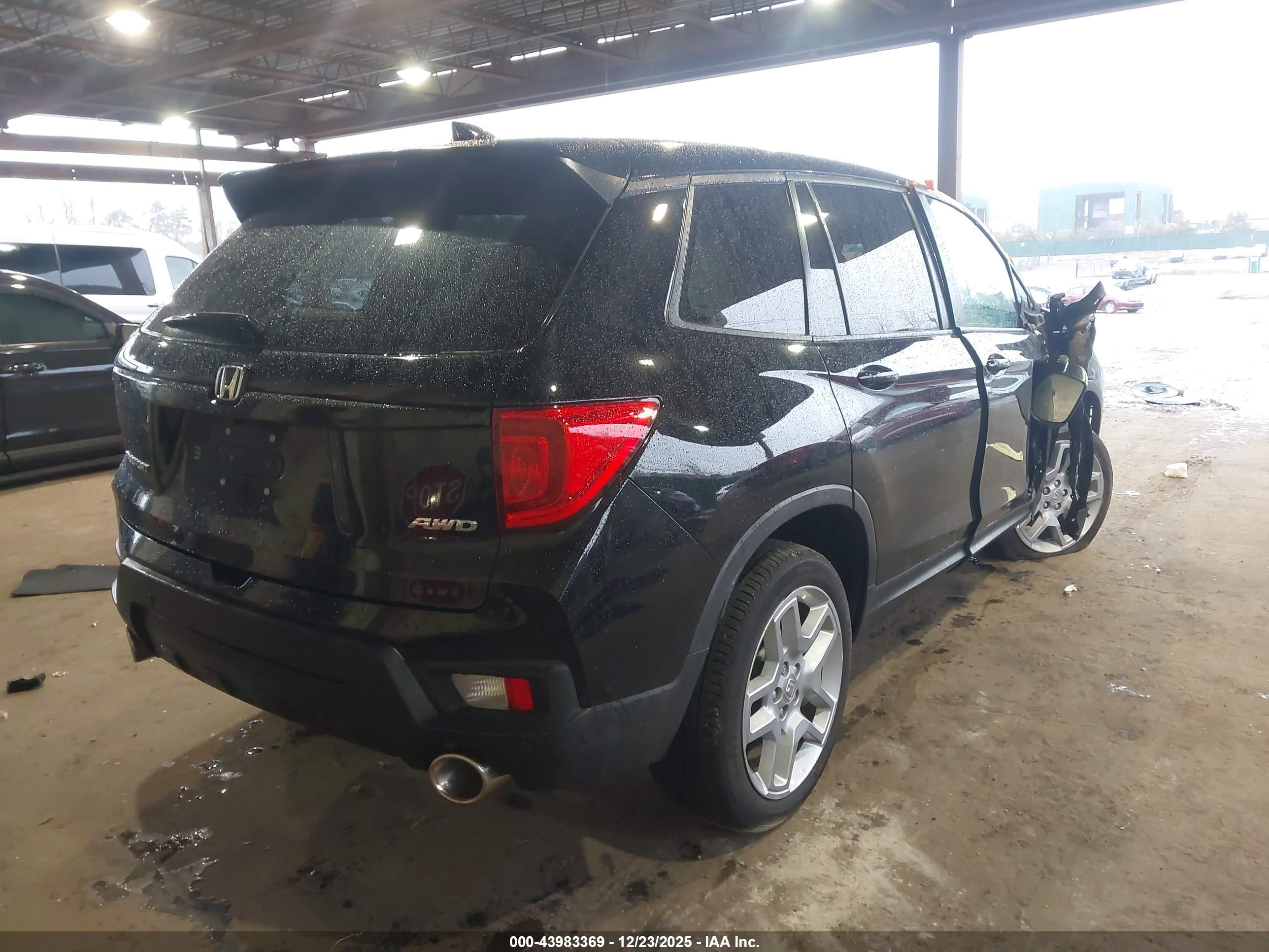 HONDA PASSPORT image 4
