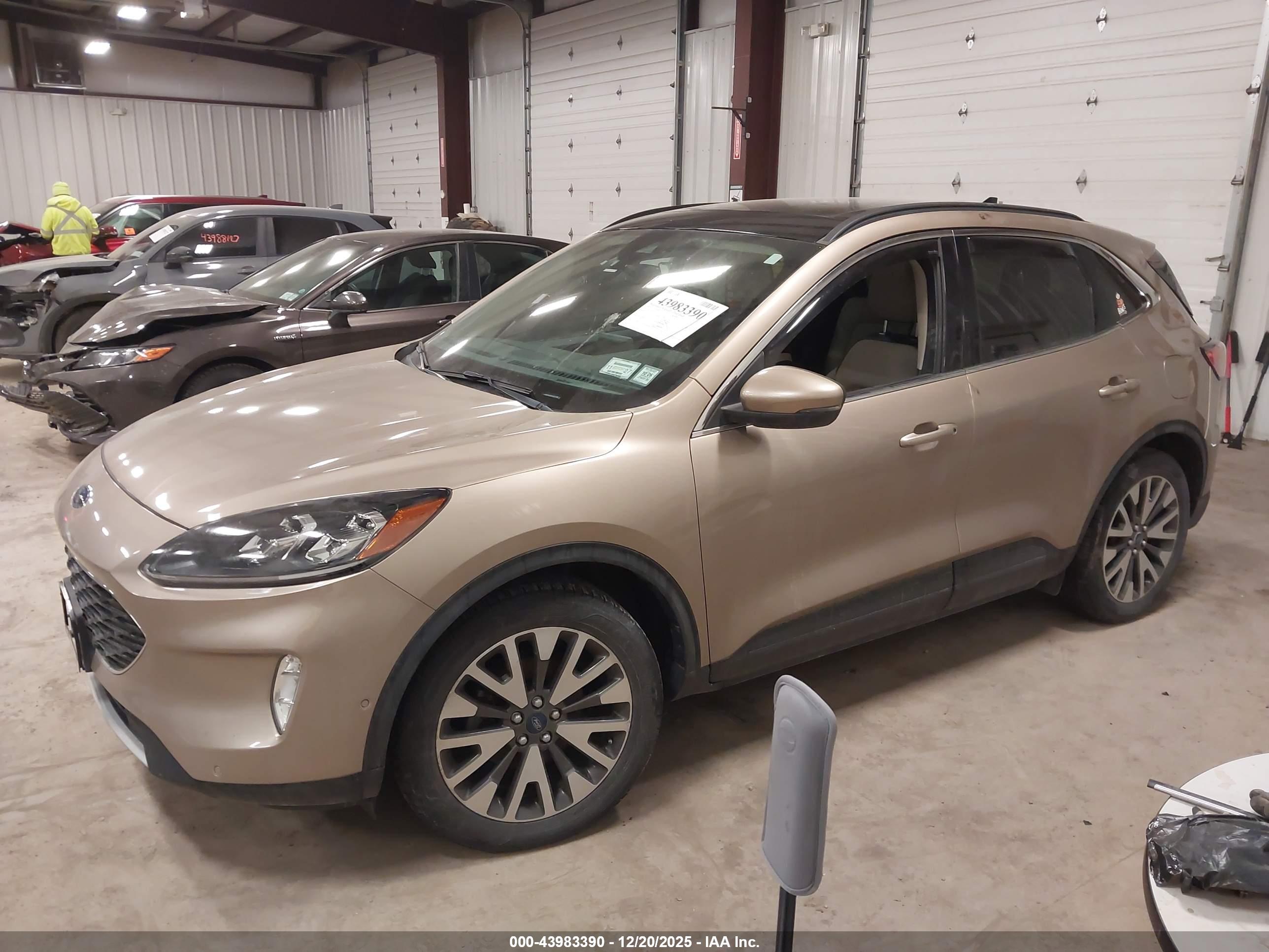 FORD ESCAPE image 2