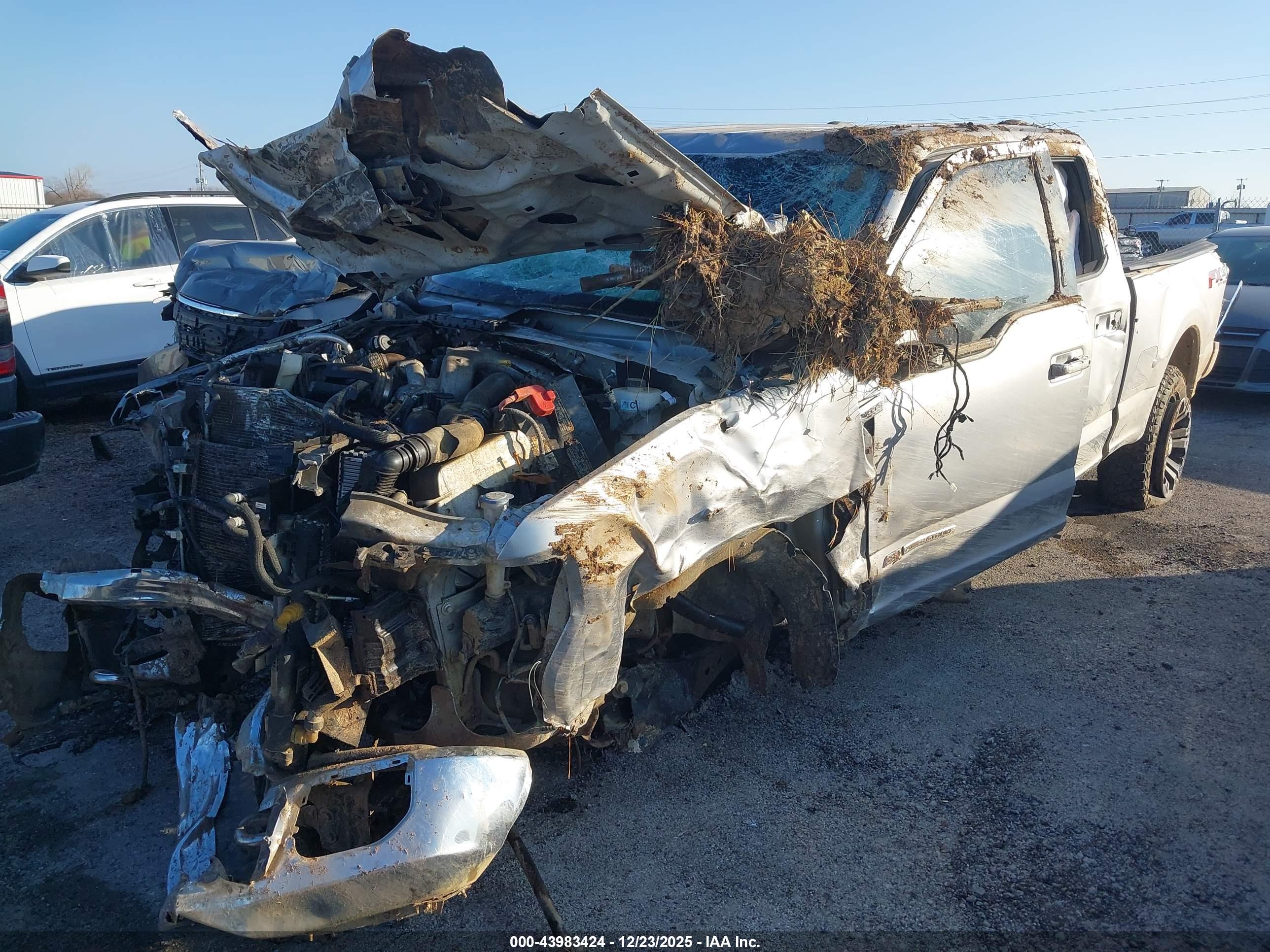 FORD F-250 image 2