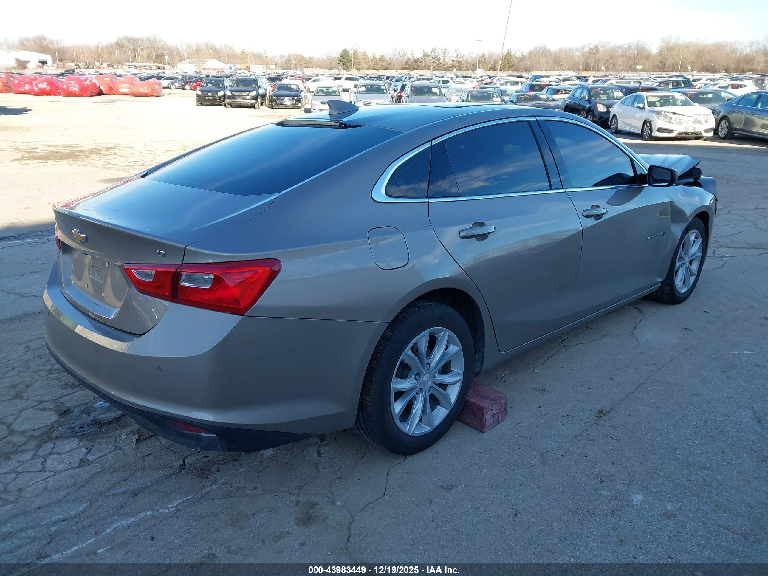 CHEVROLET MALIBU image 4