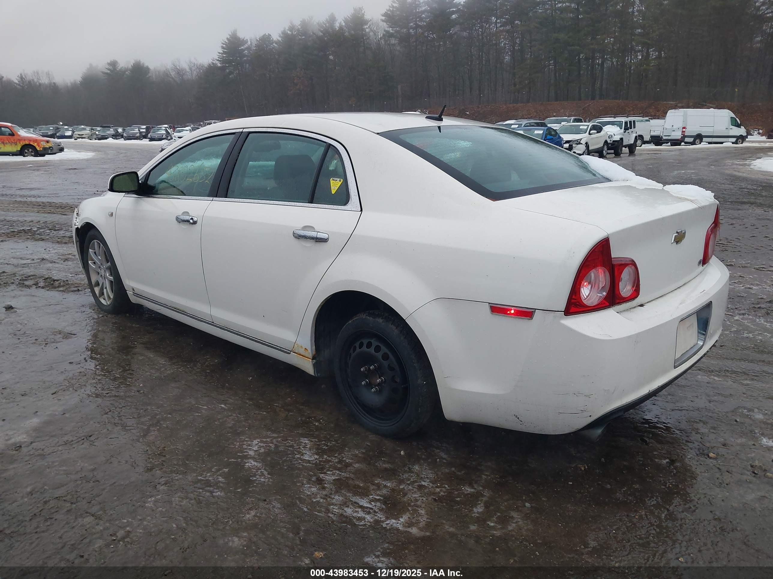 CHEVROLET MALIBU image 3