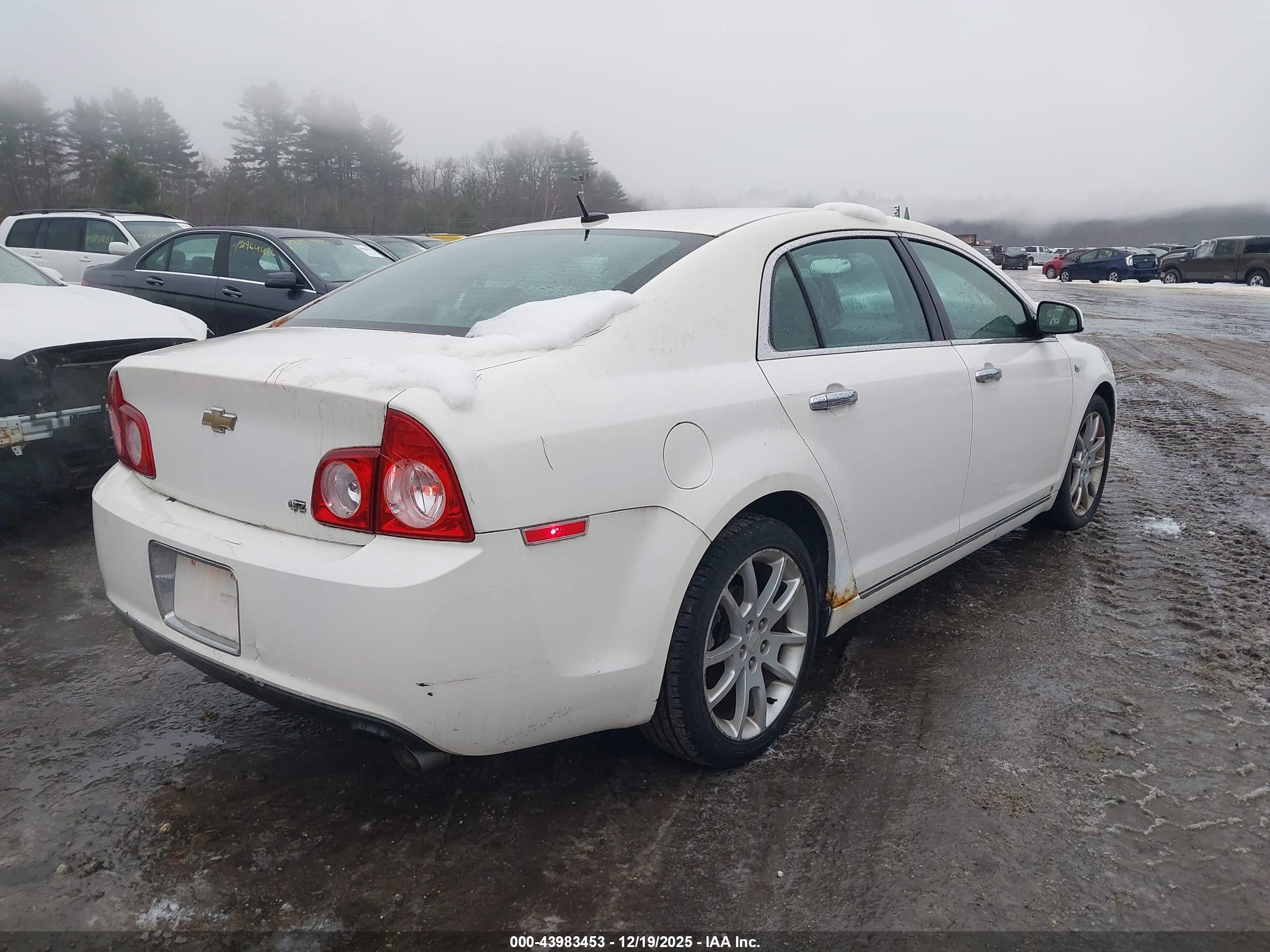 CHEVROLET MALIBU image 4