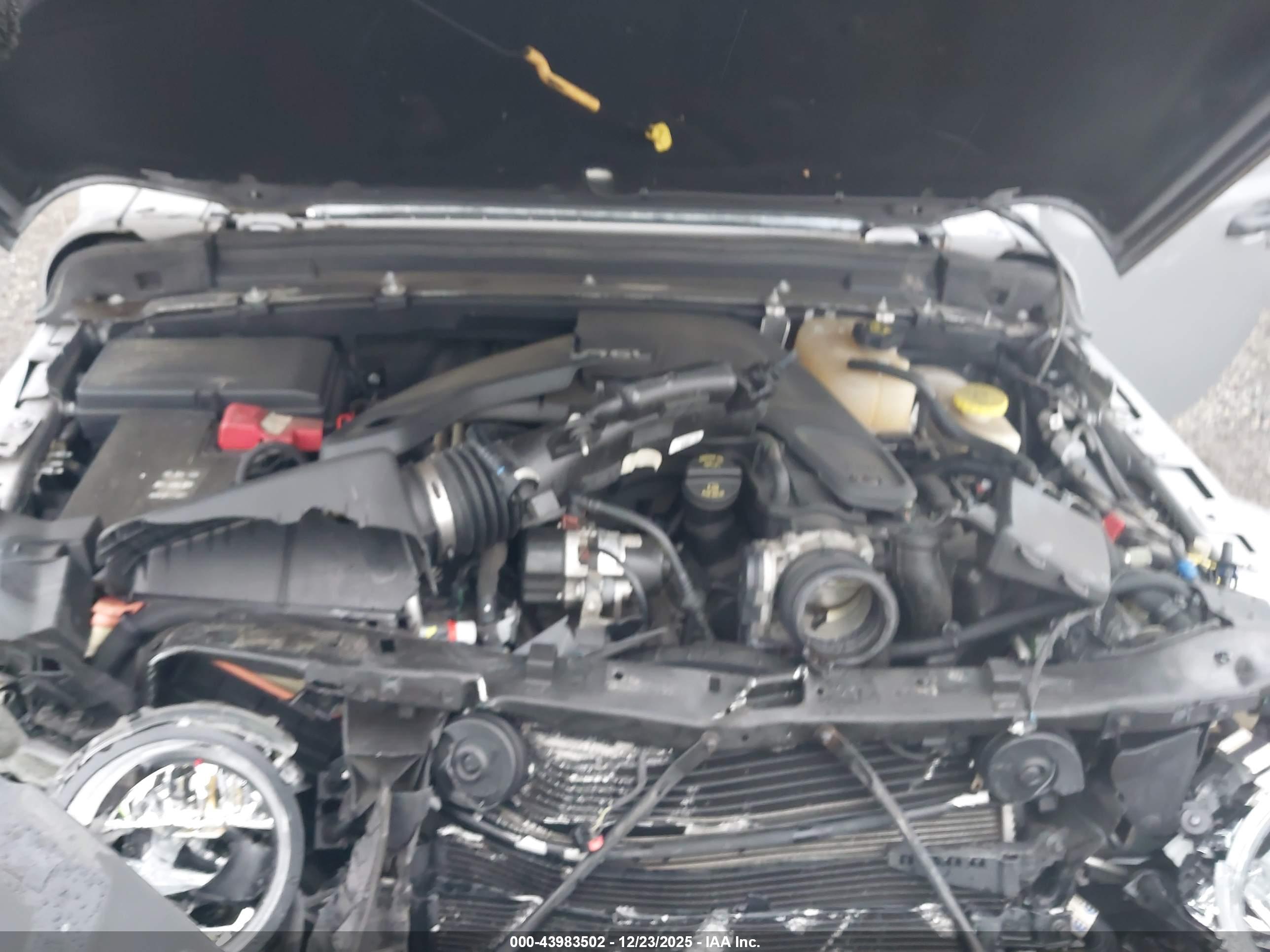 JEEP WRANGLER image 10