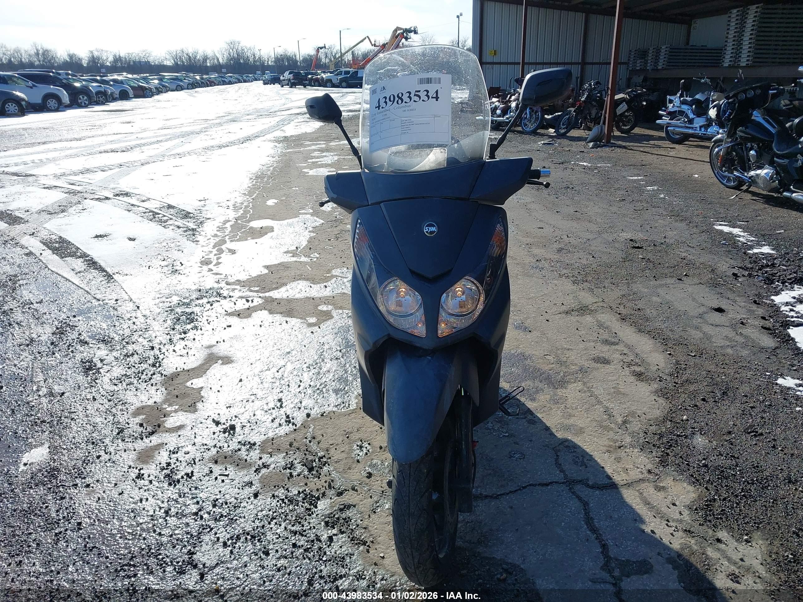 SYM 300 image 5