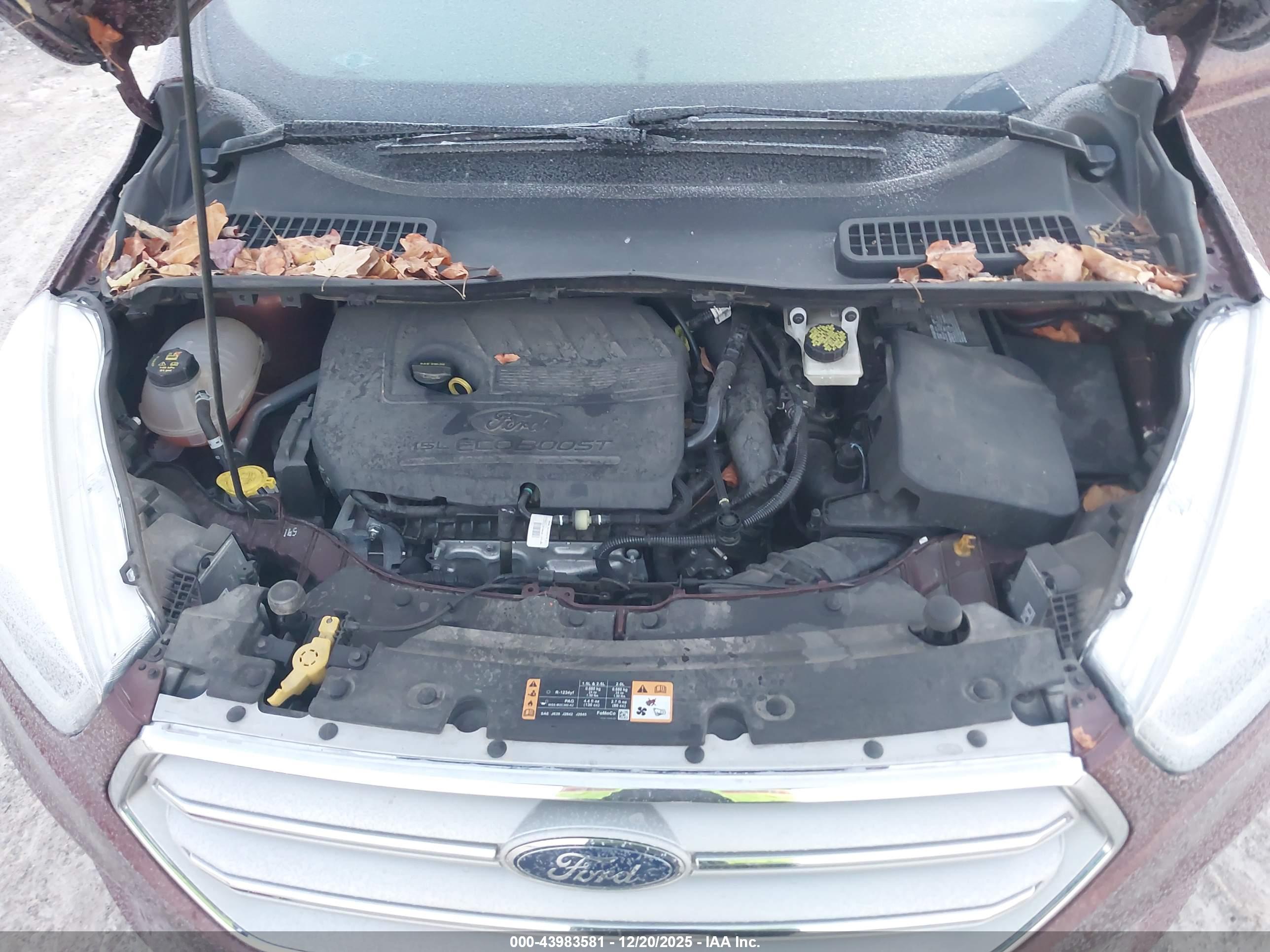 FORD ESCAPE image 10
