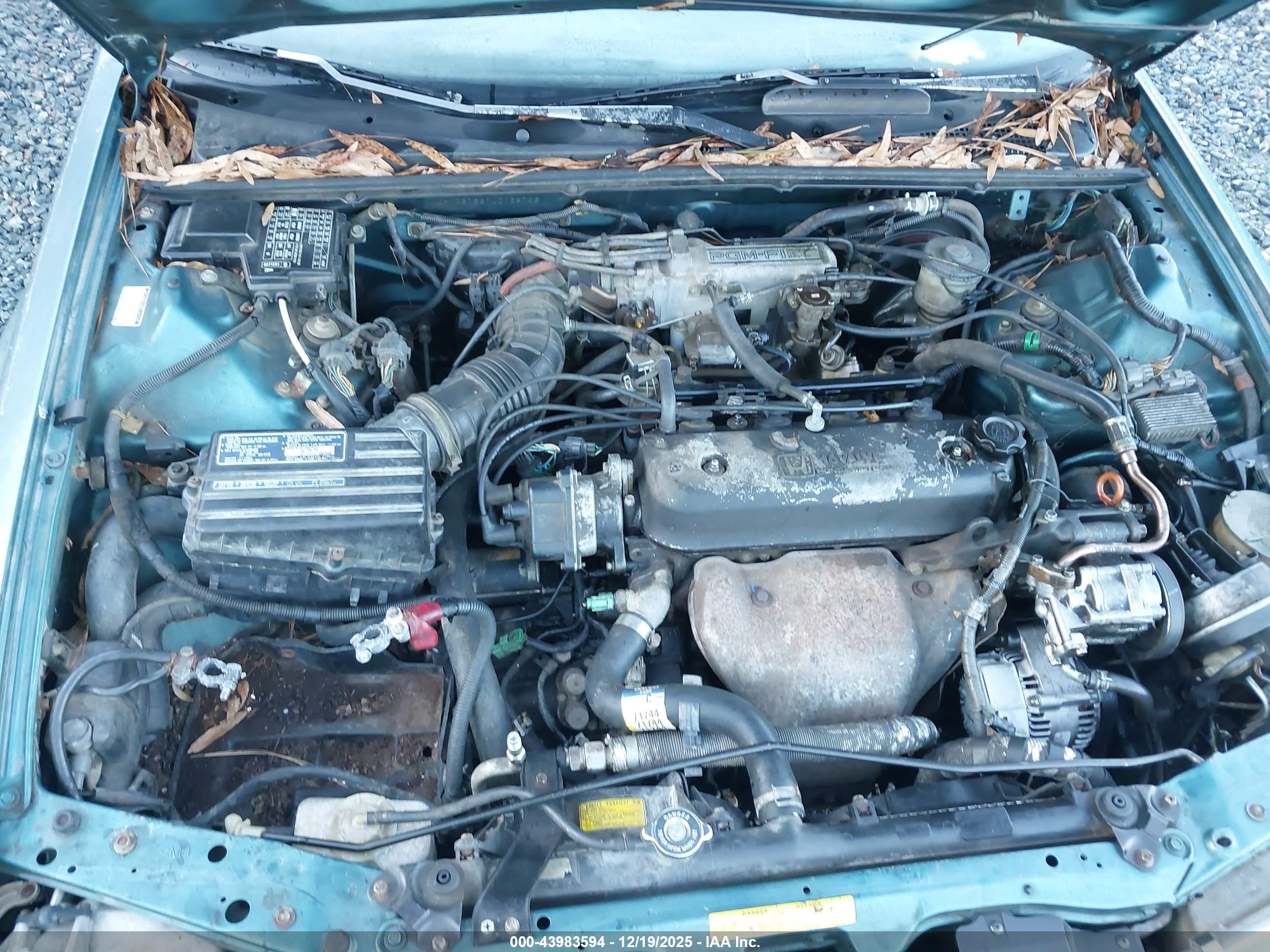 HONDA ACCORD image 10
