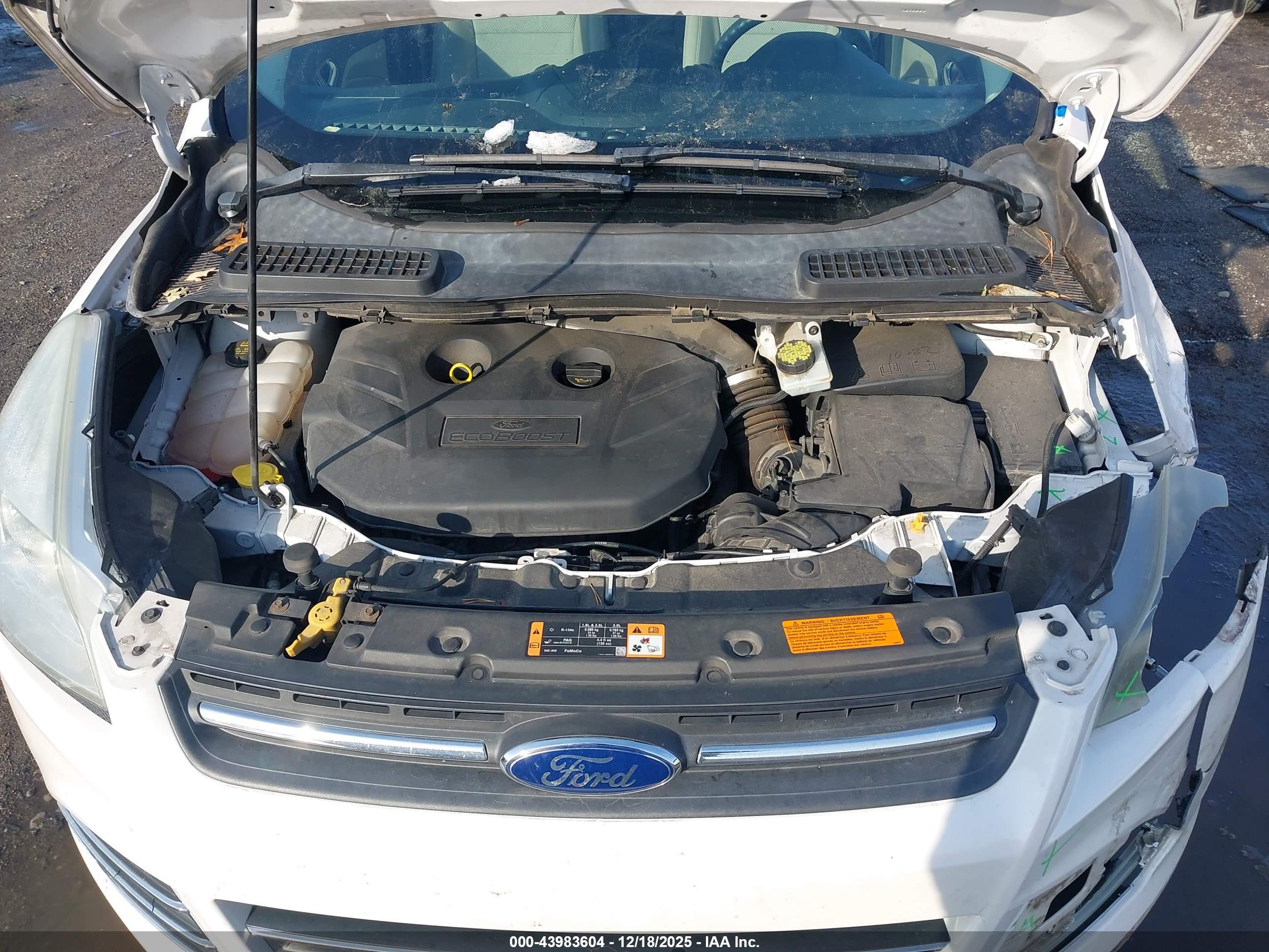 FORD ESCAPE image 10