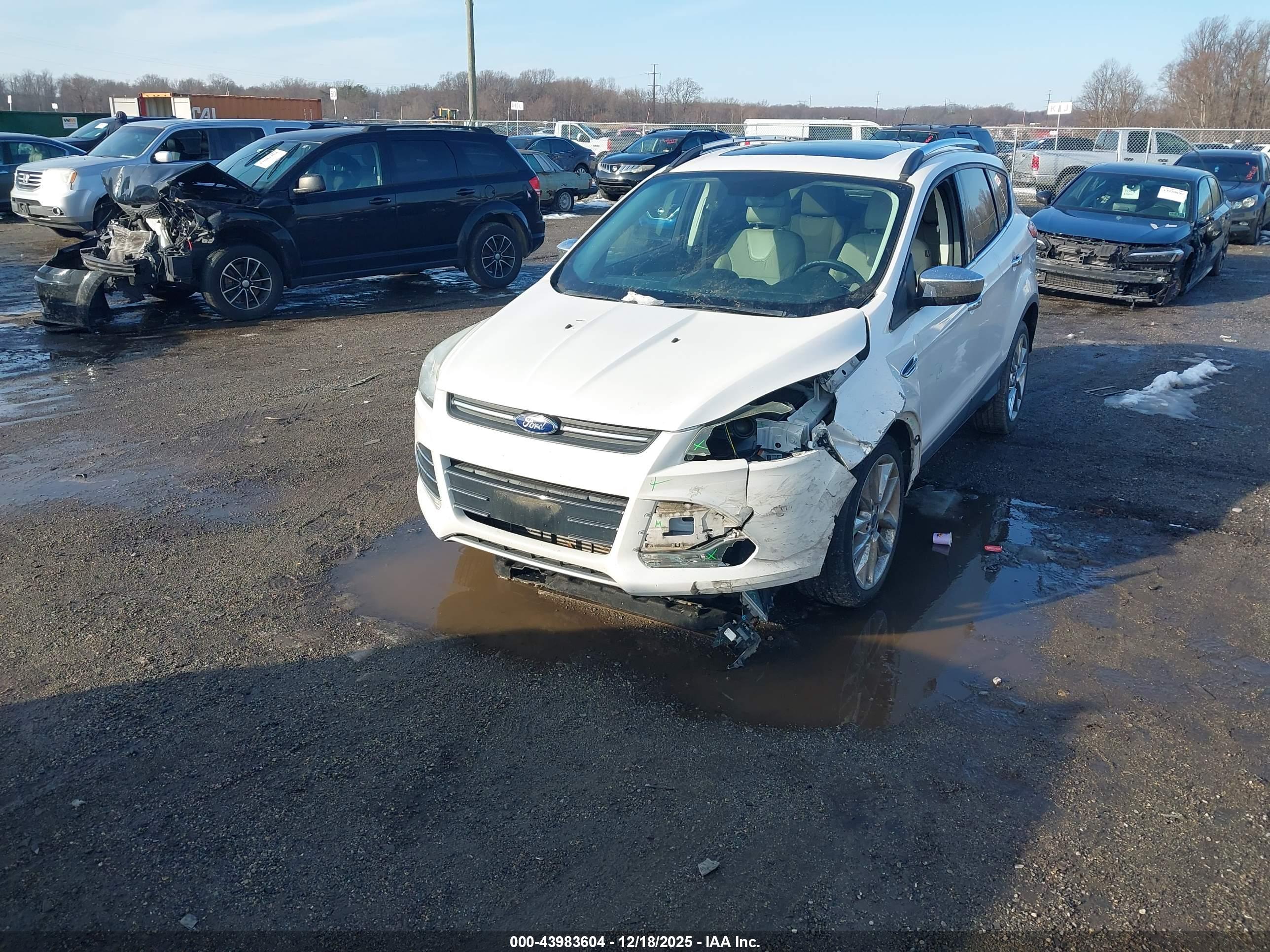 FORD ESCAPE image 2