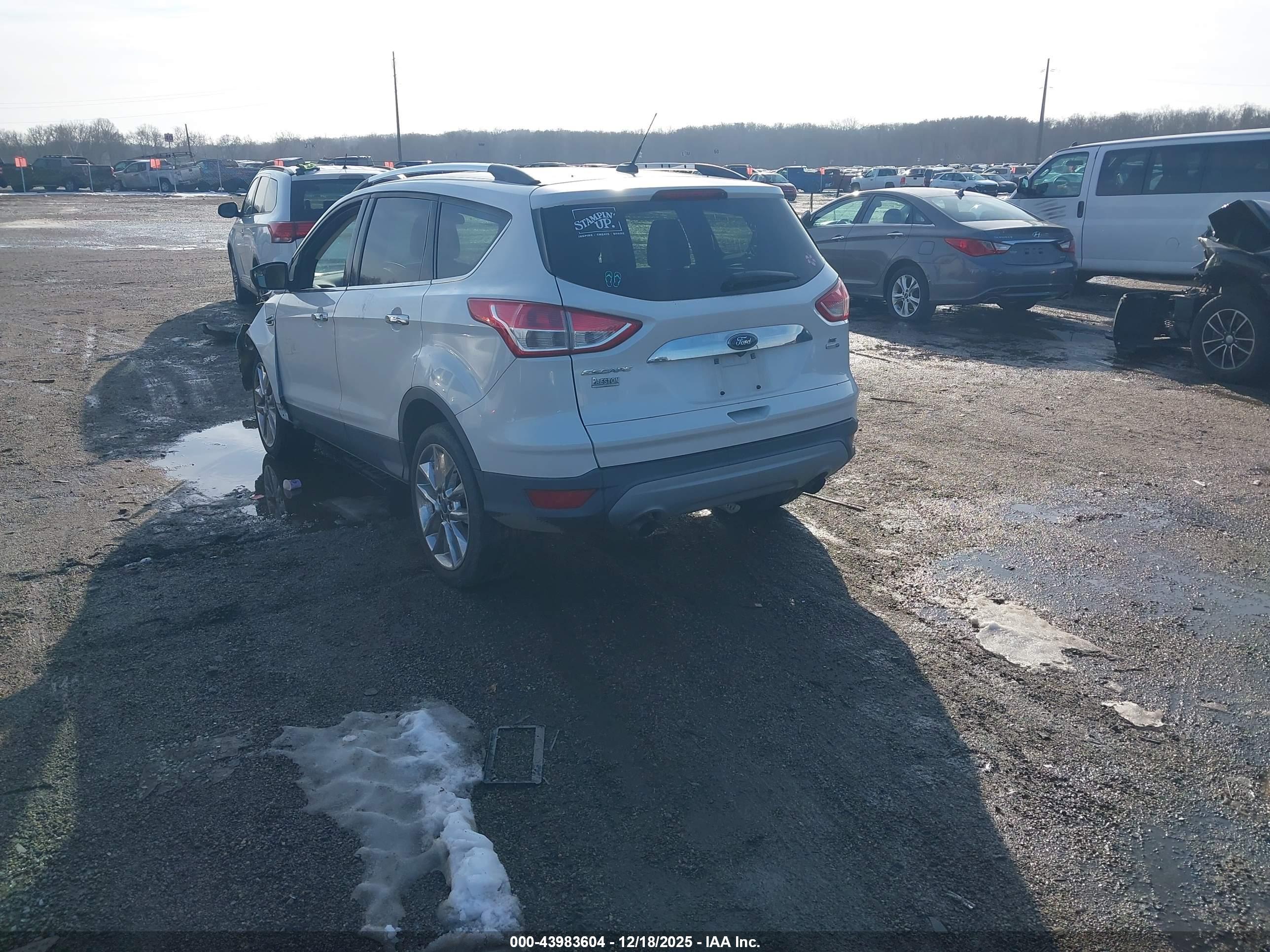 FORD ESCAPE image 3