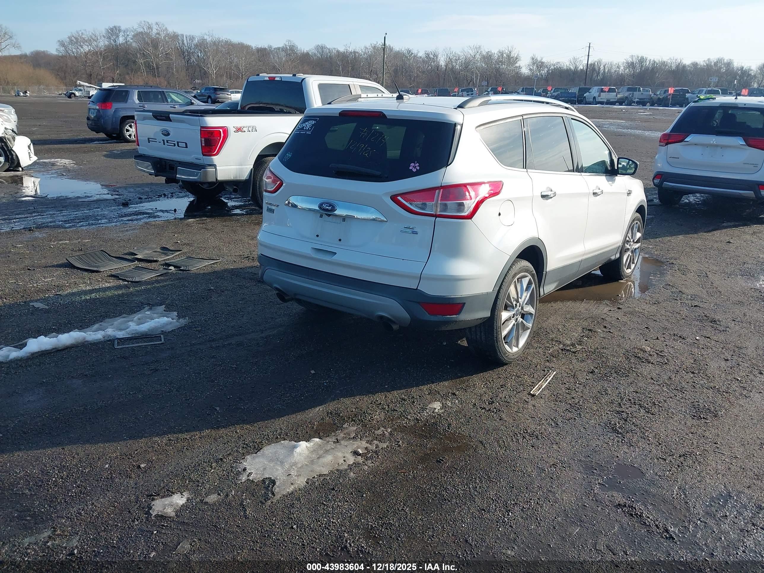 FORD ESCAPE image 4