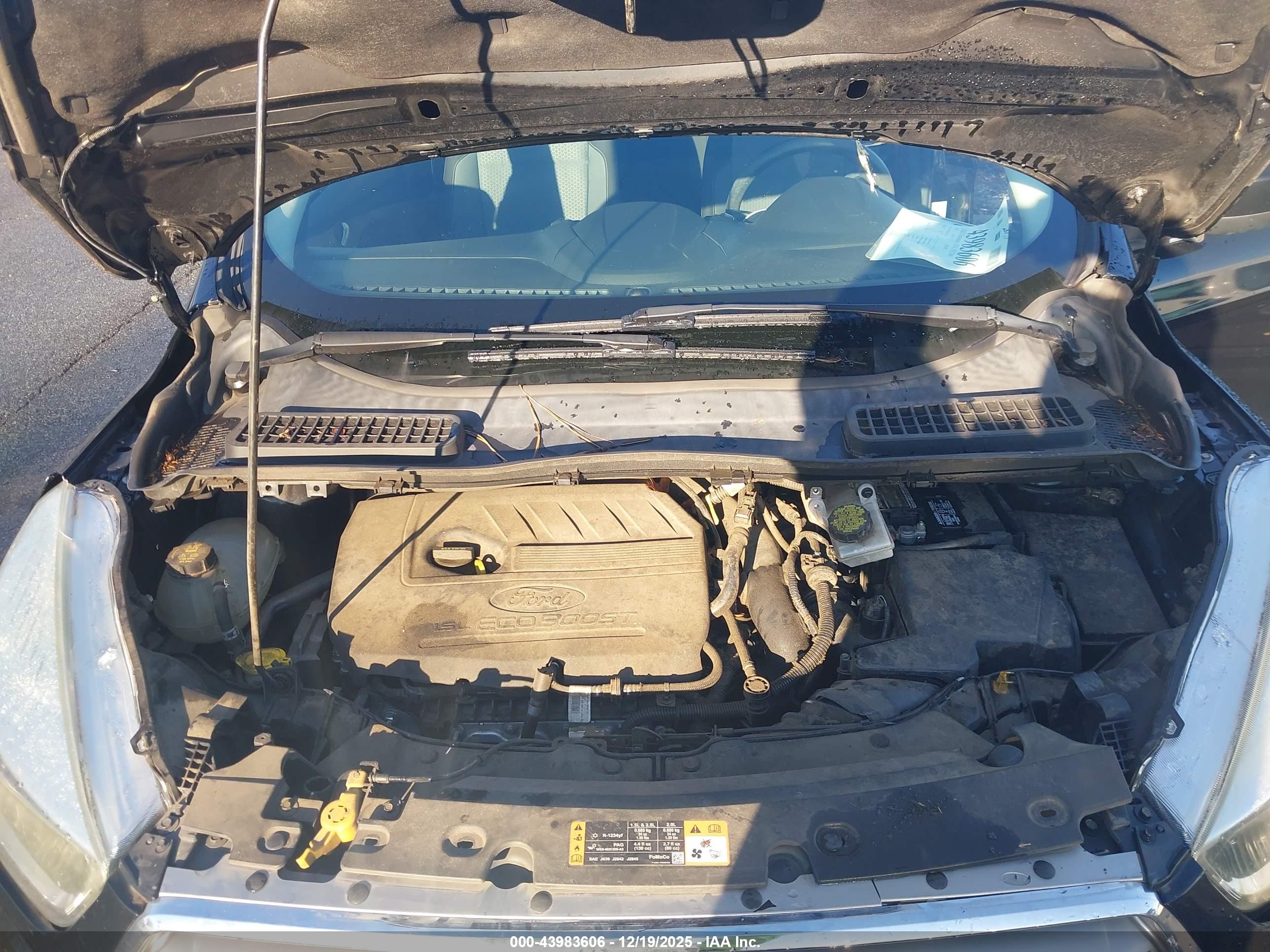 FORD ESCAPE image 10