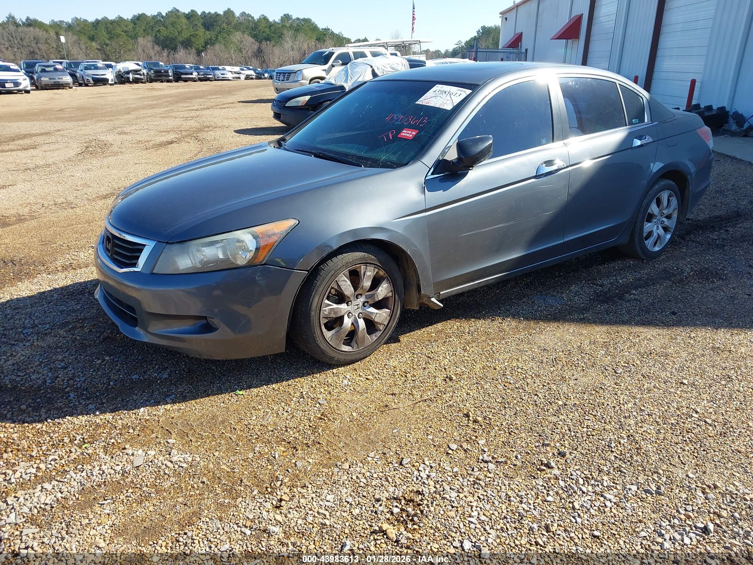 HONDA ACCORD image 2