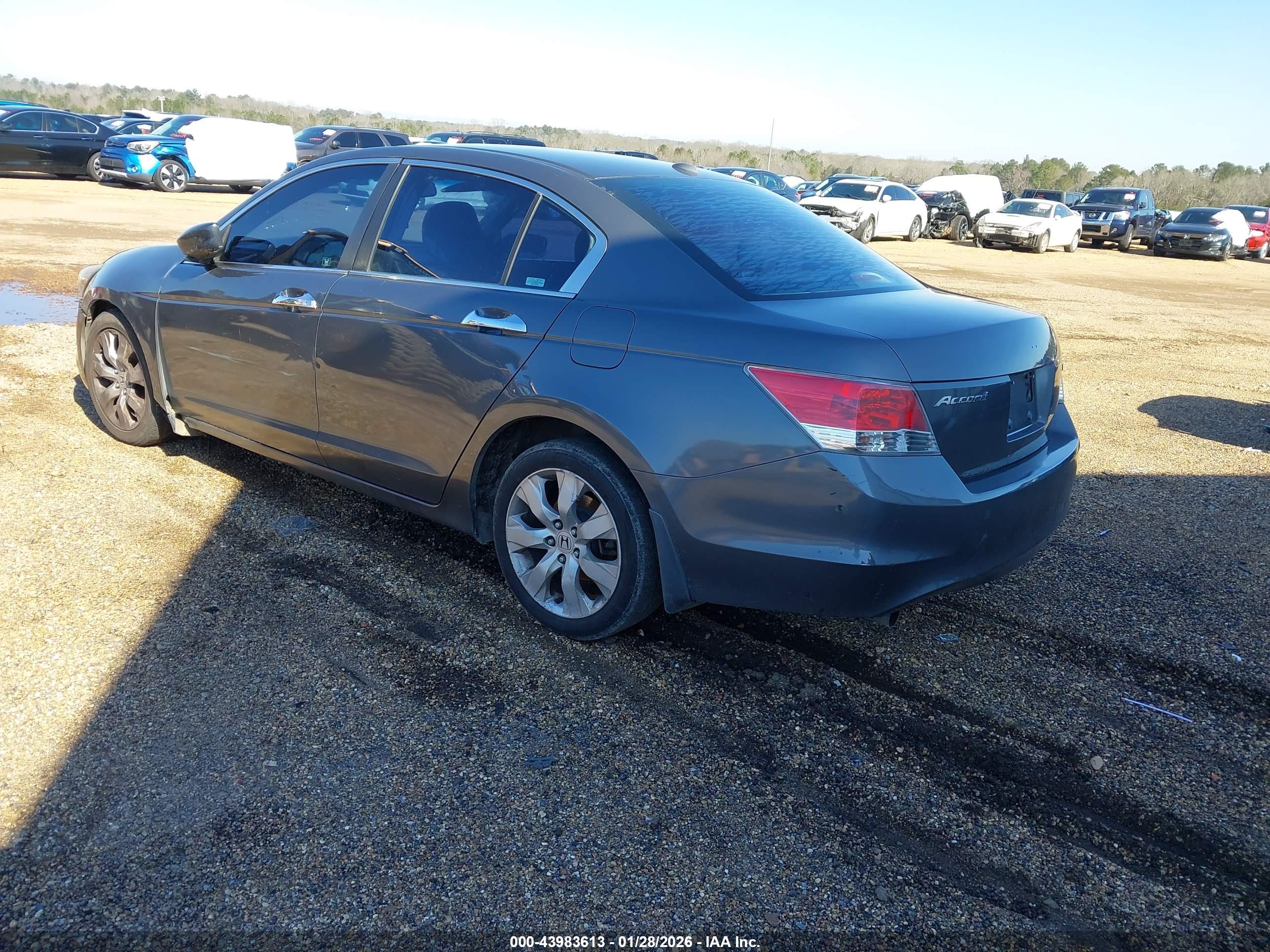 HONDA ACCORD image 3
