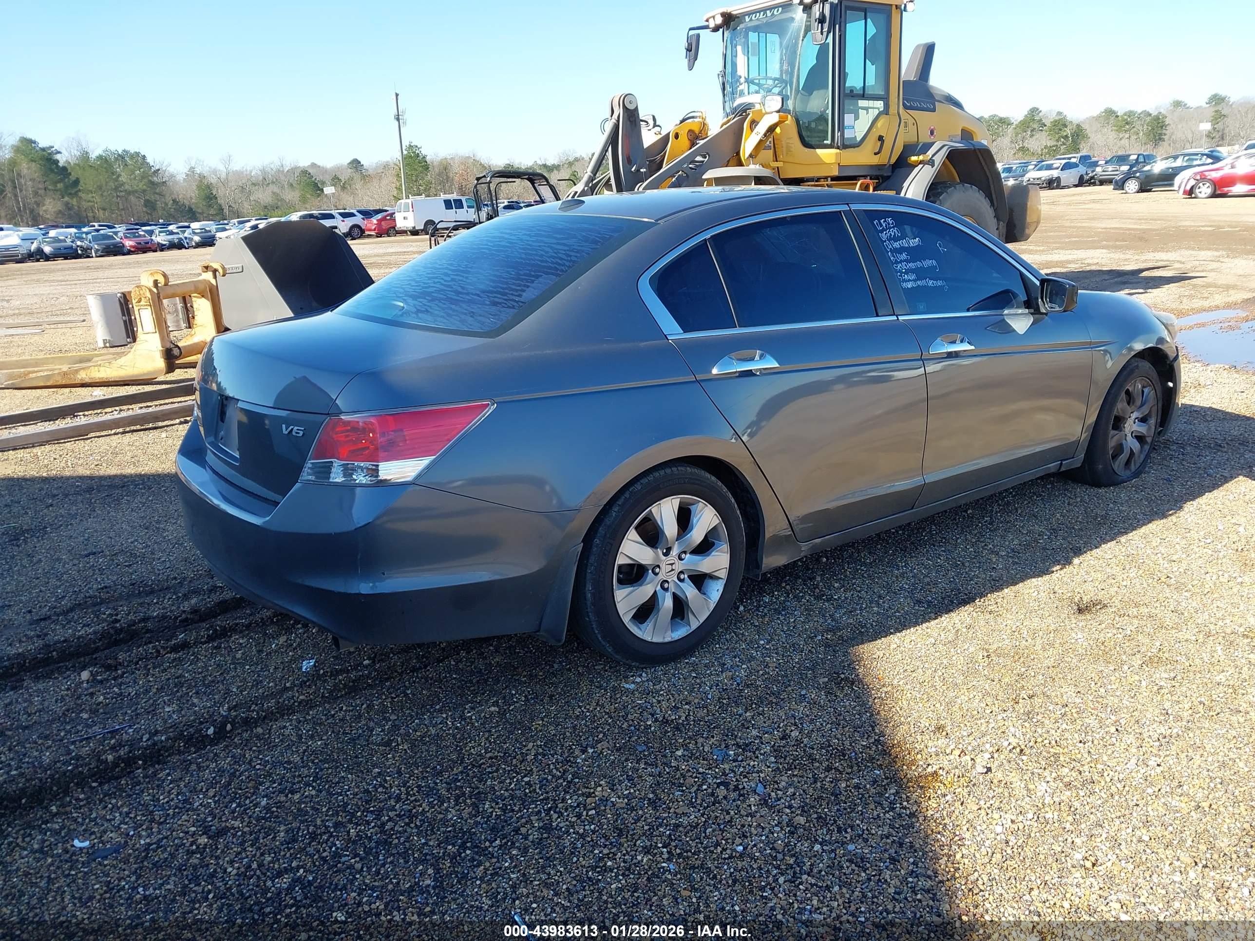 HONDA ACCORD image 4