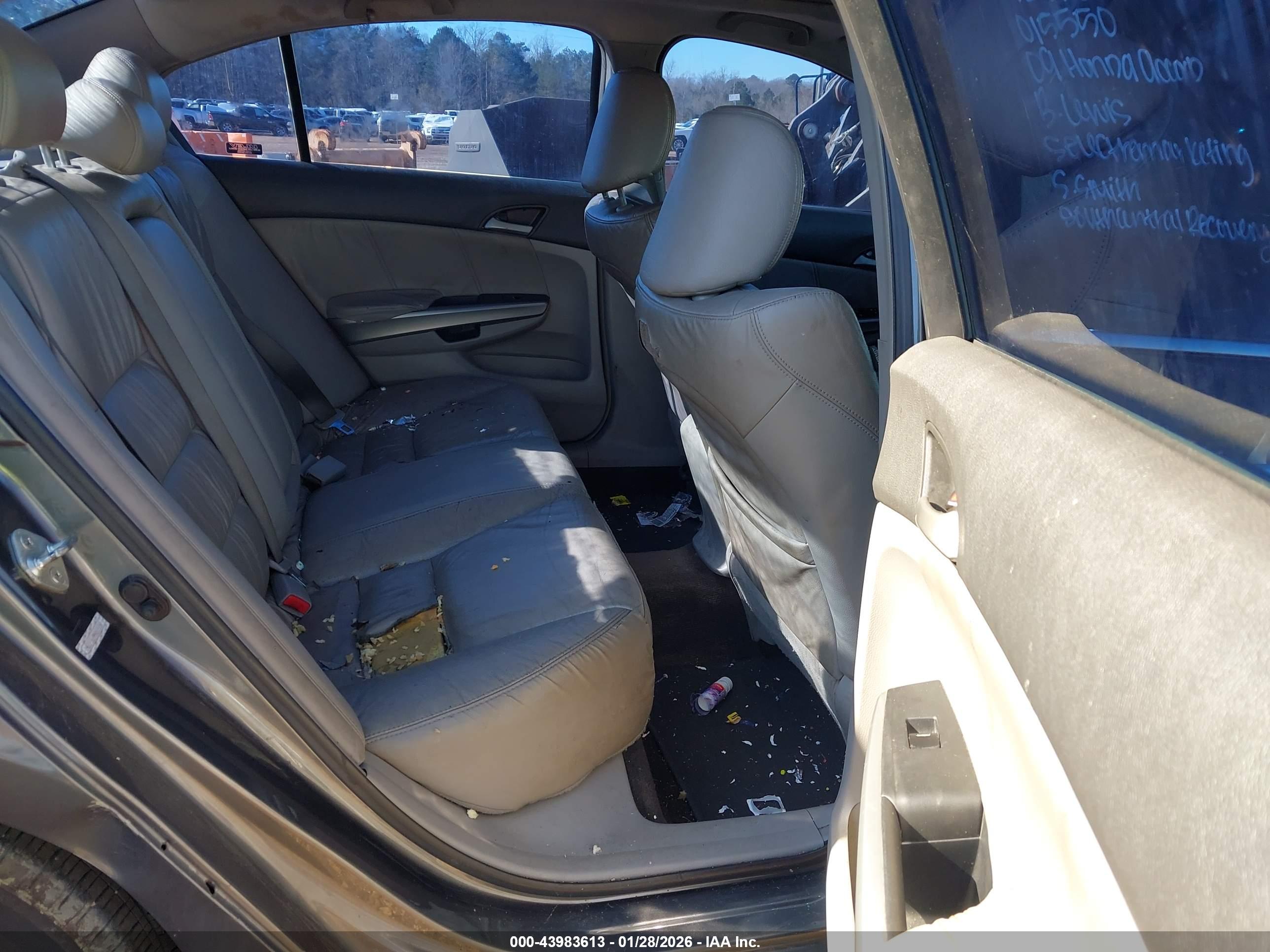 HONDA ACCORD image 8