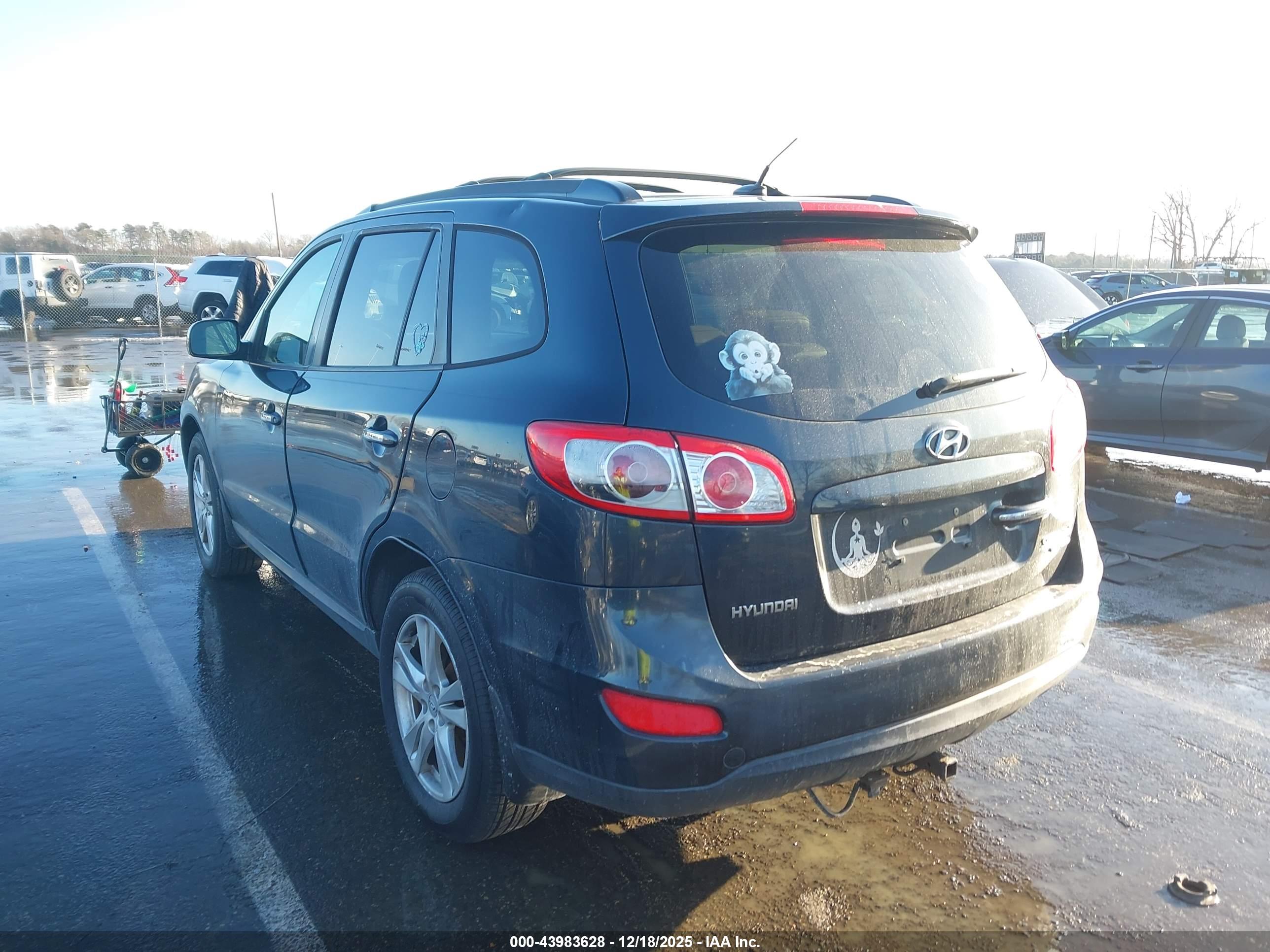 HYUNDAI SANTA image 3