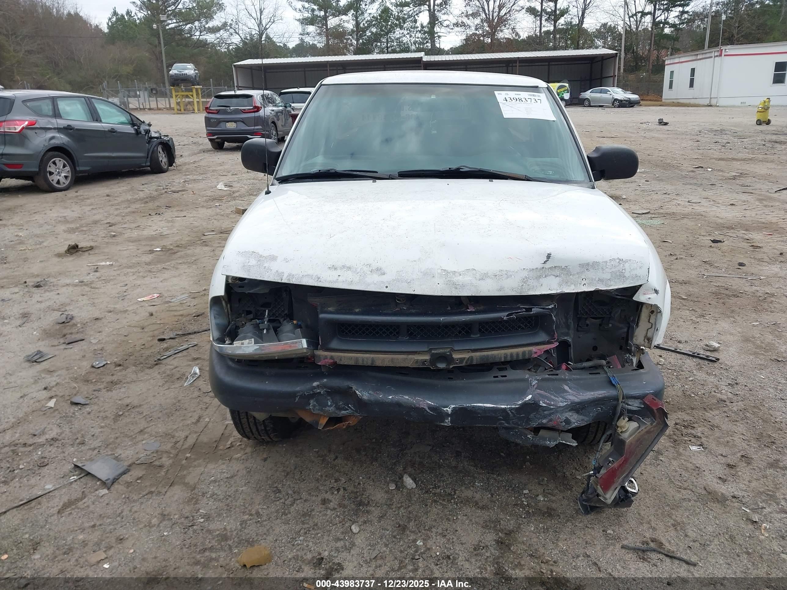 CHEVROLET S-10 image 6