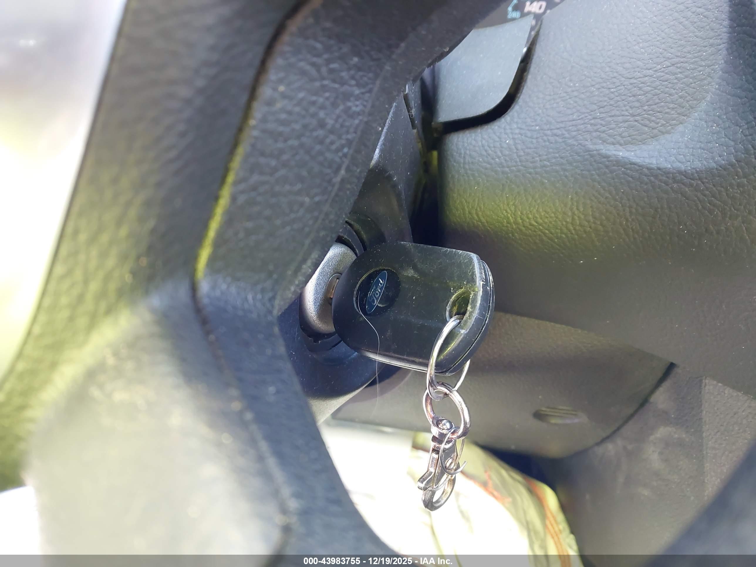 FORD FOCUS image 11