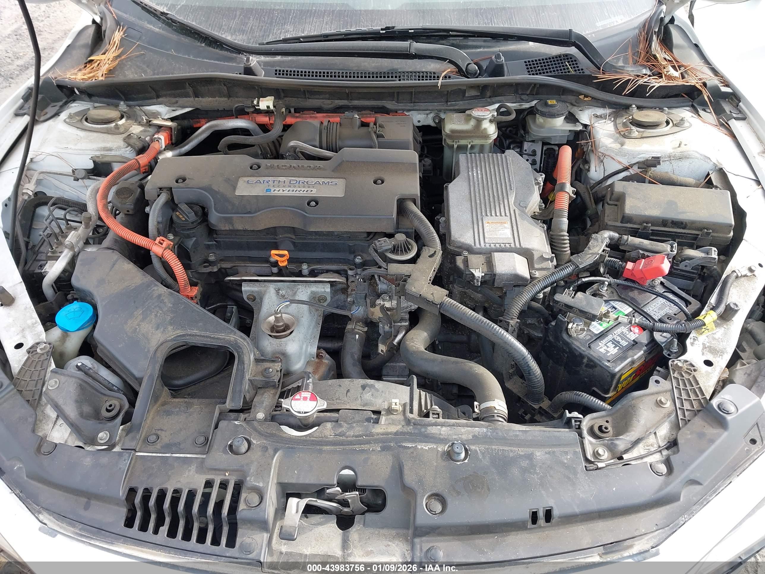 HONDA ACCORD image 10