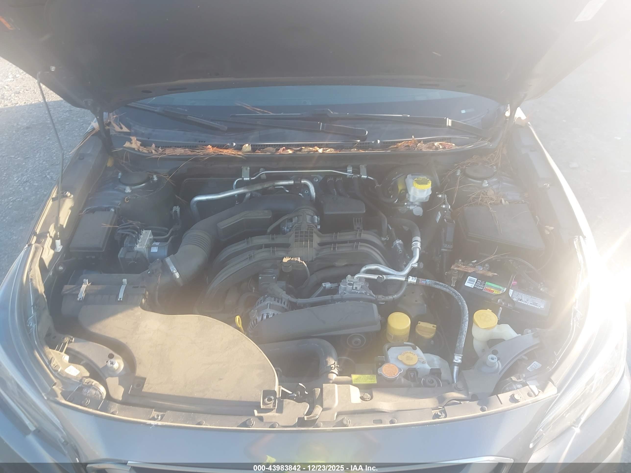 SUBARU OUTBACK image 10