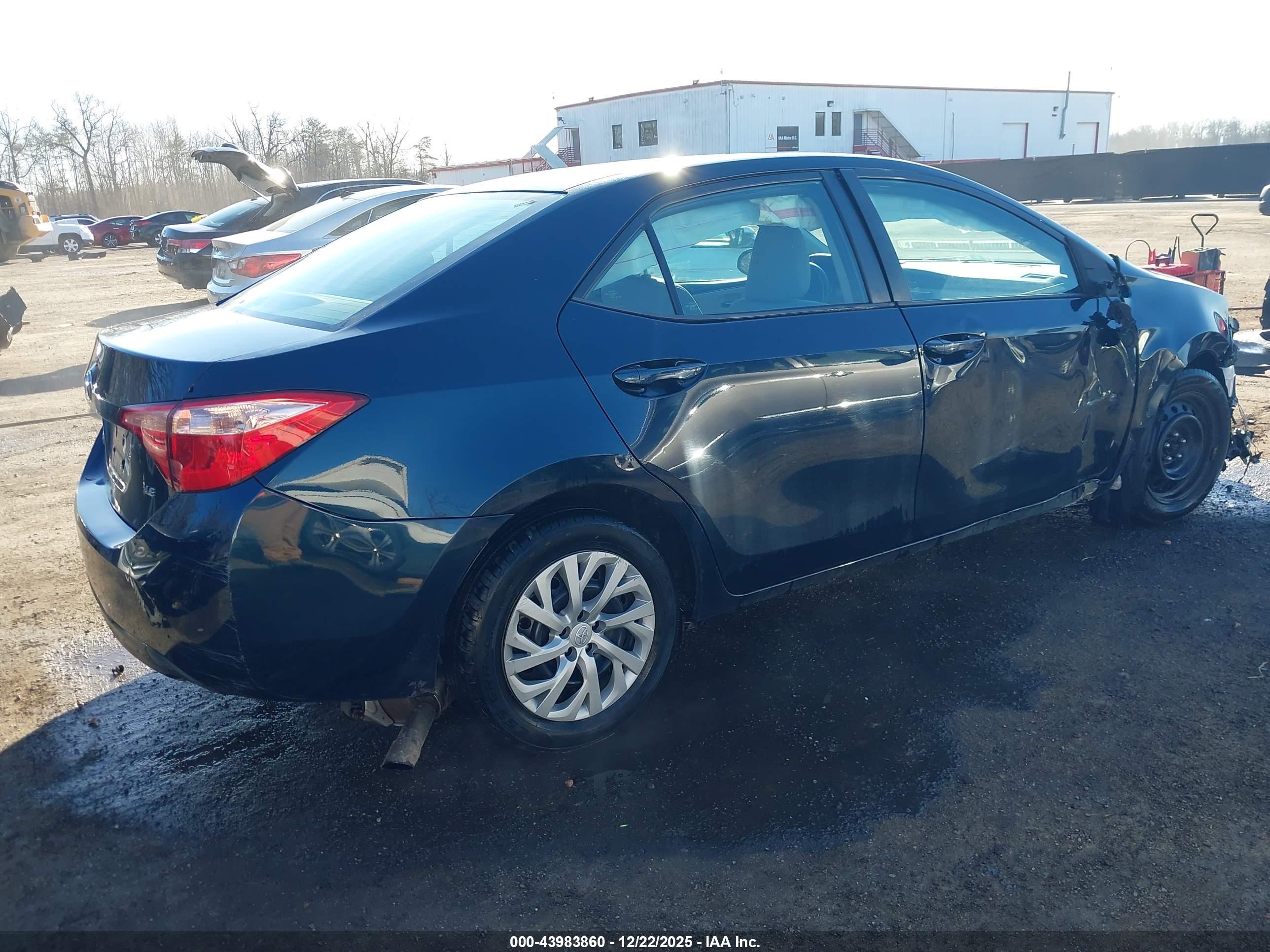 TOYOTA COROLLA image 4