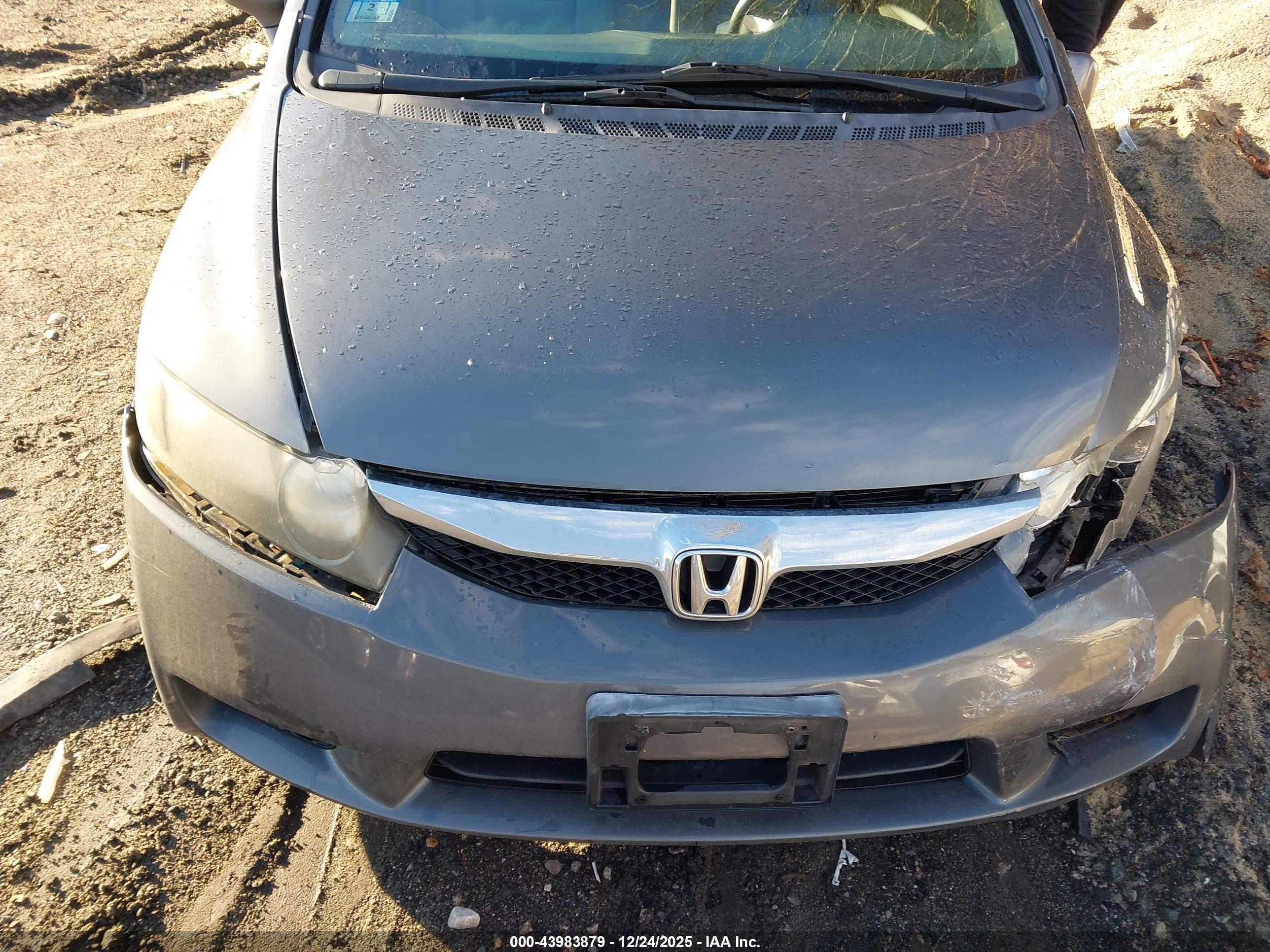 HONDA CIVIC image 6