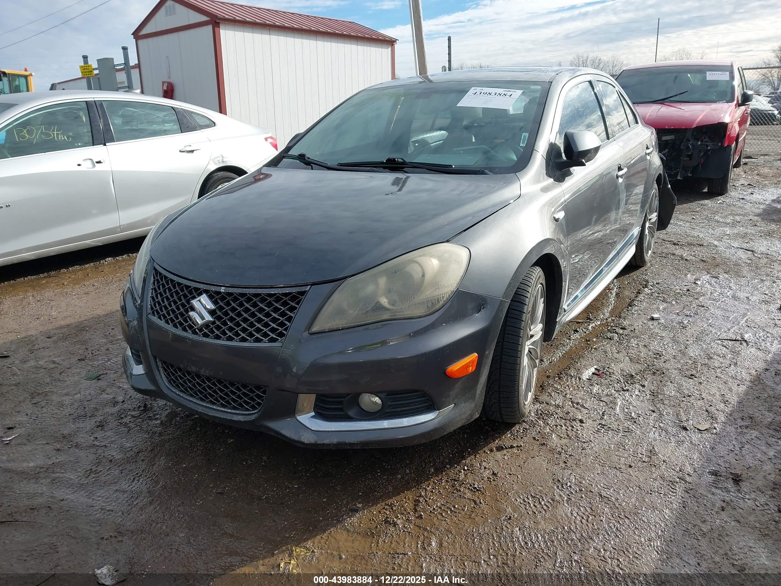 SUZUKI KIZASHI image 2