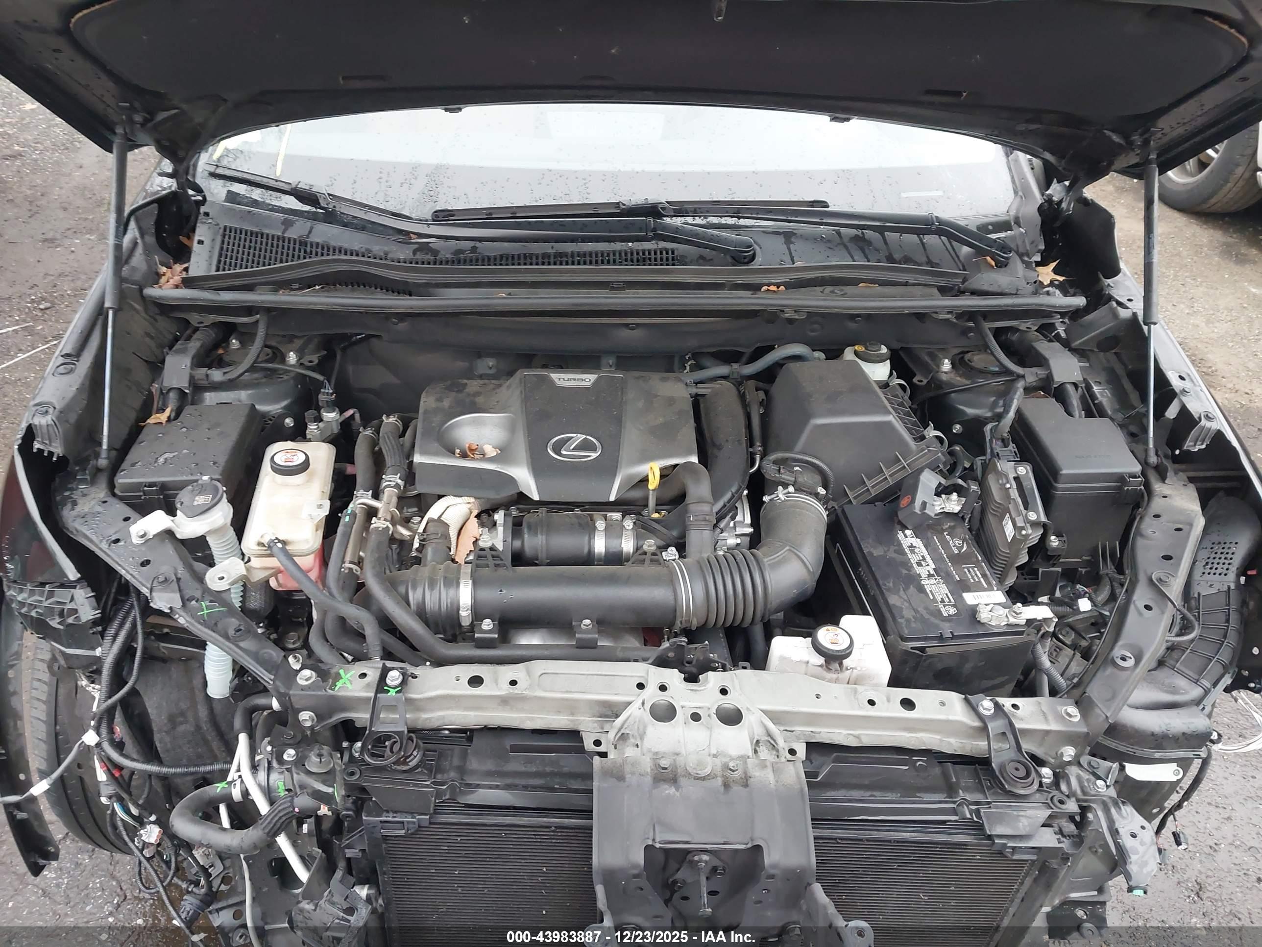 LEXUS NX image 10