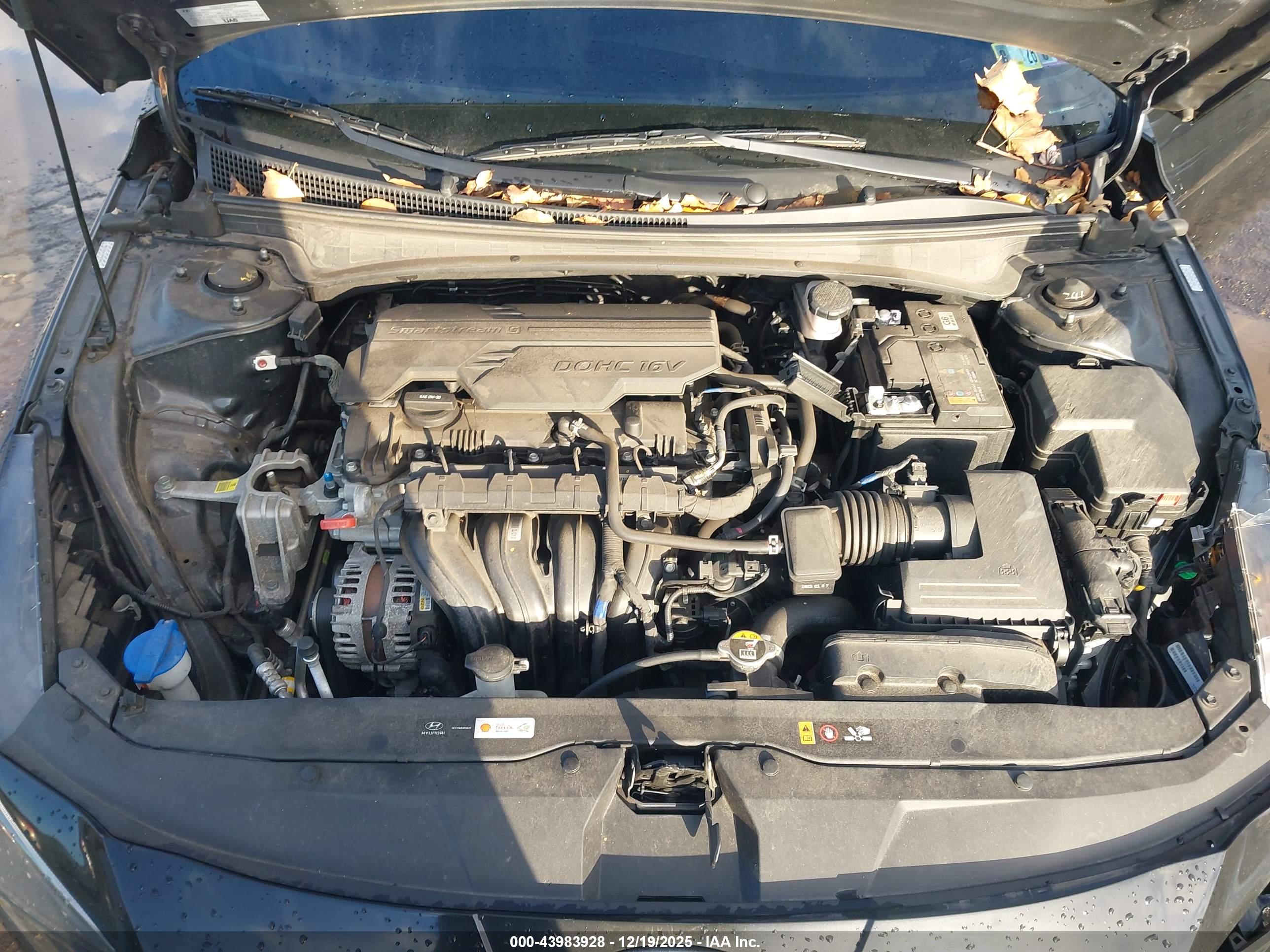 HYUNDAI ELANTRA image 10