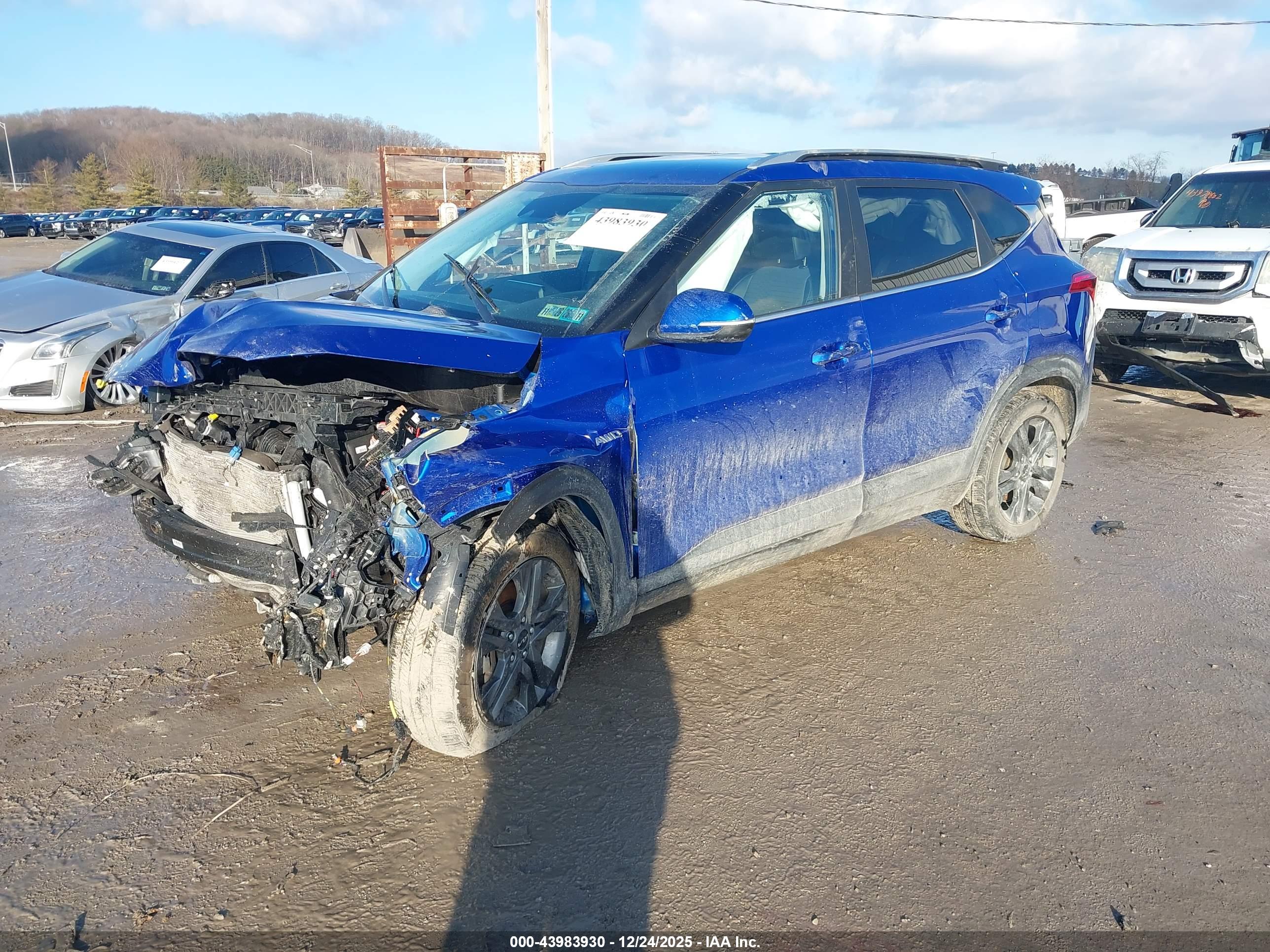 KIA SELTOS image 2