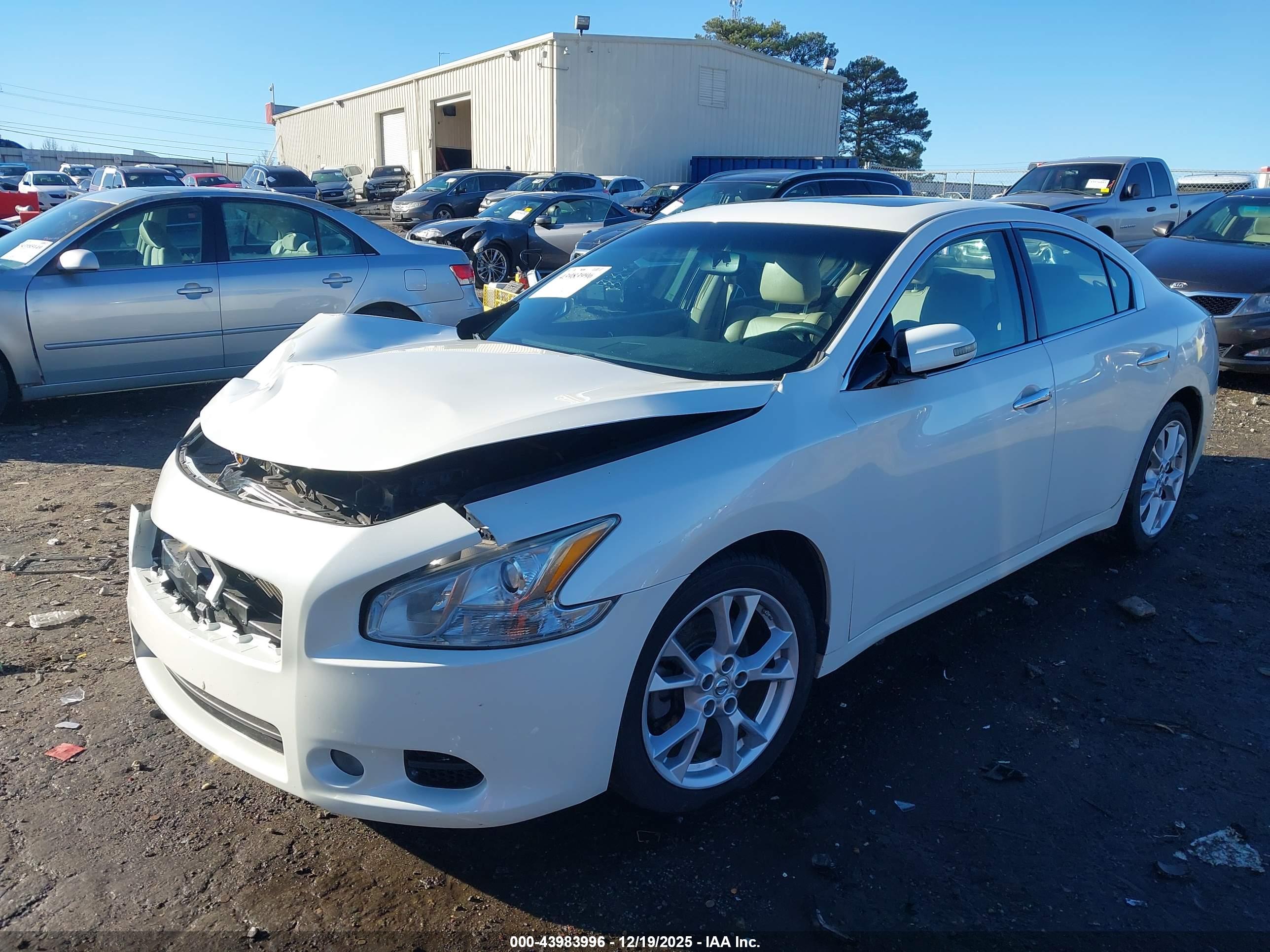 NISSAN MAXIMA image 2