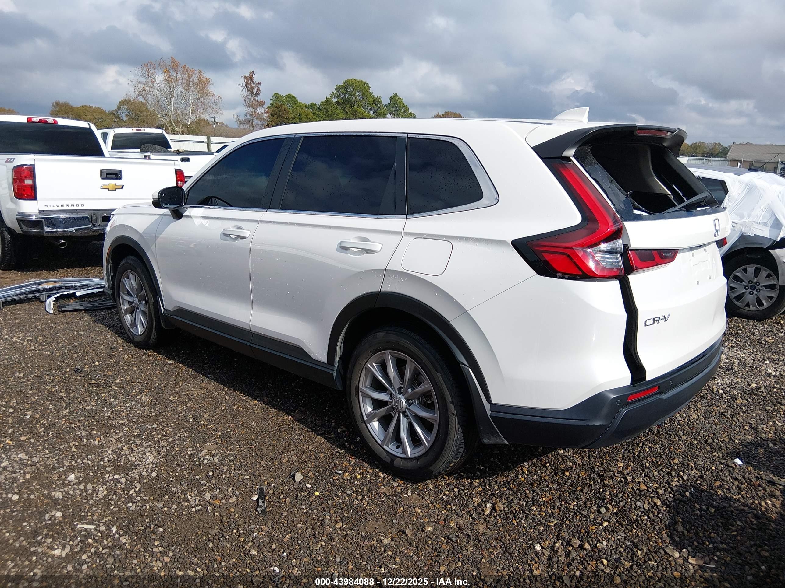 HONDA CR-V image 3