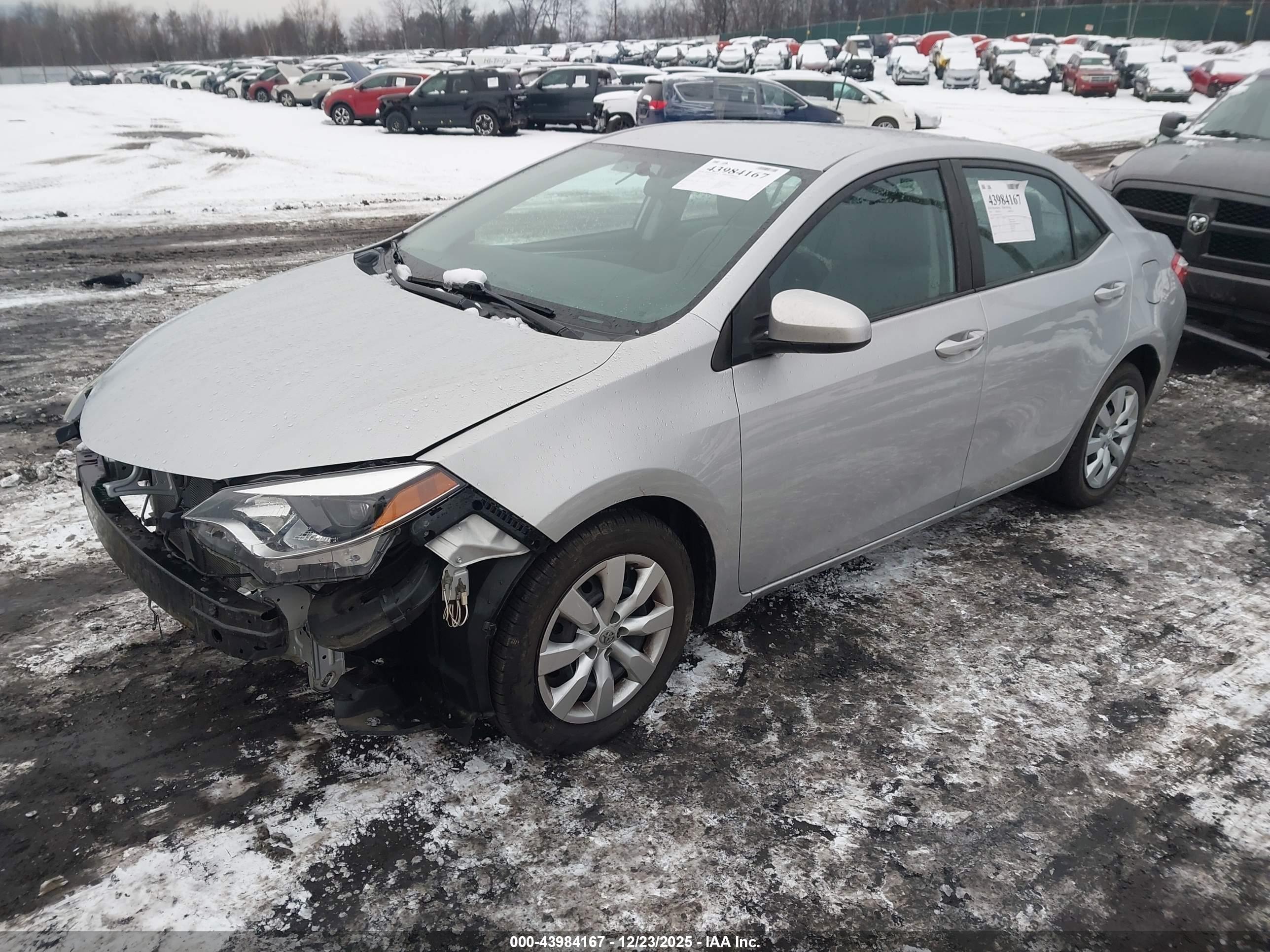 TOYOTA COROLLA image 2