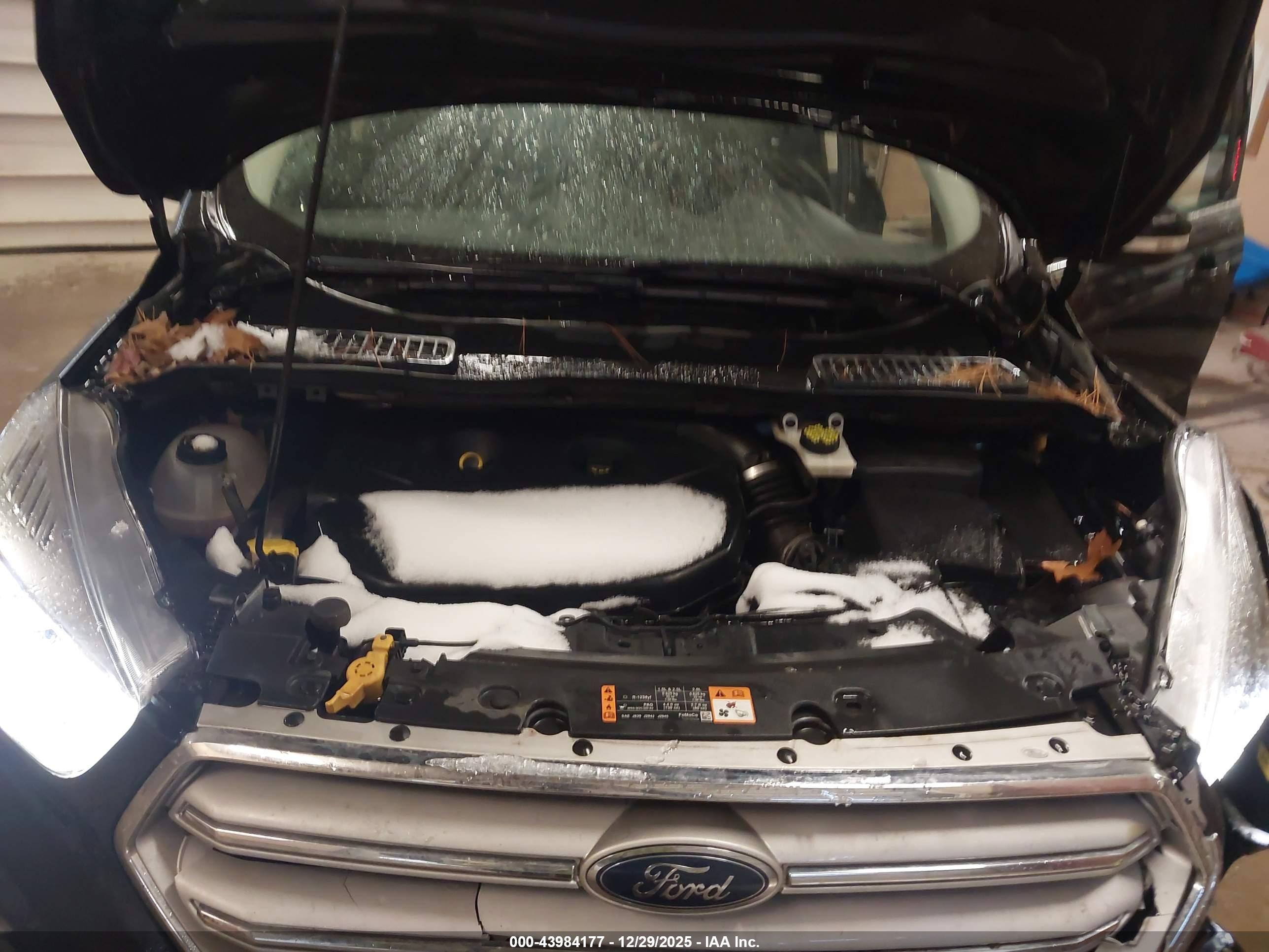 FORD ESCAPE image 10