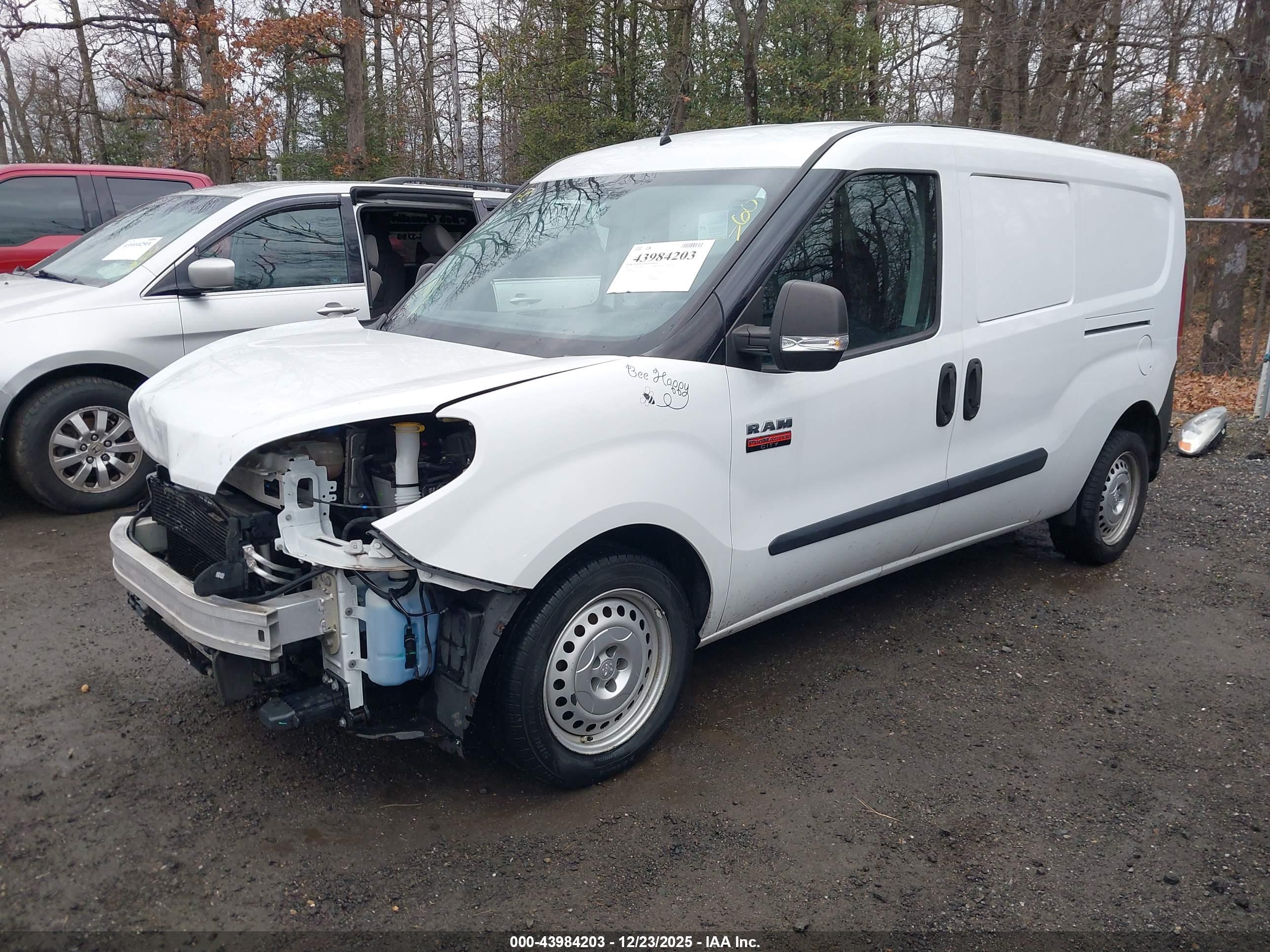 RAM PROMASTER image 2