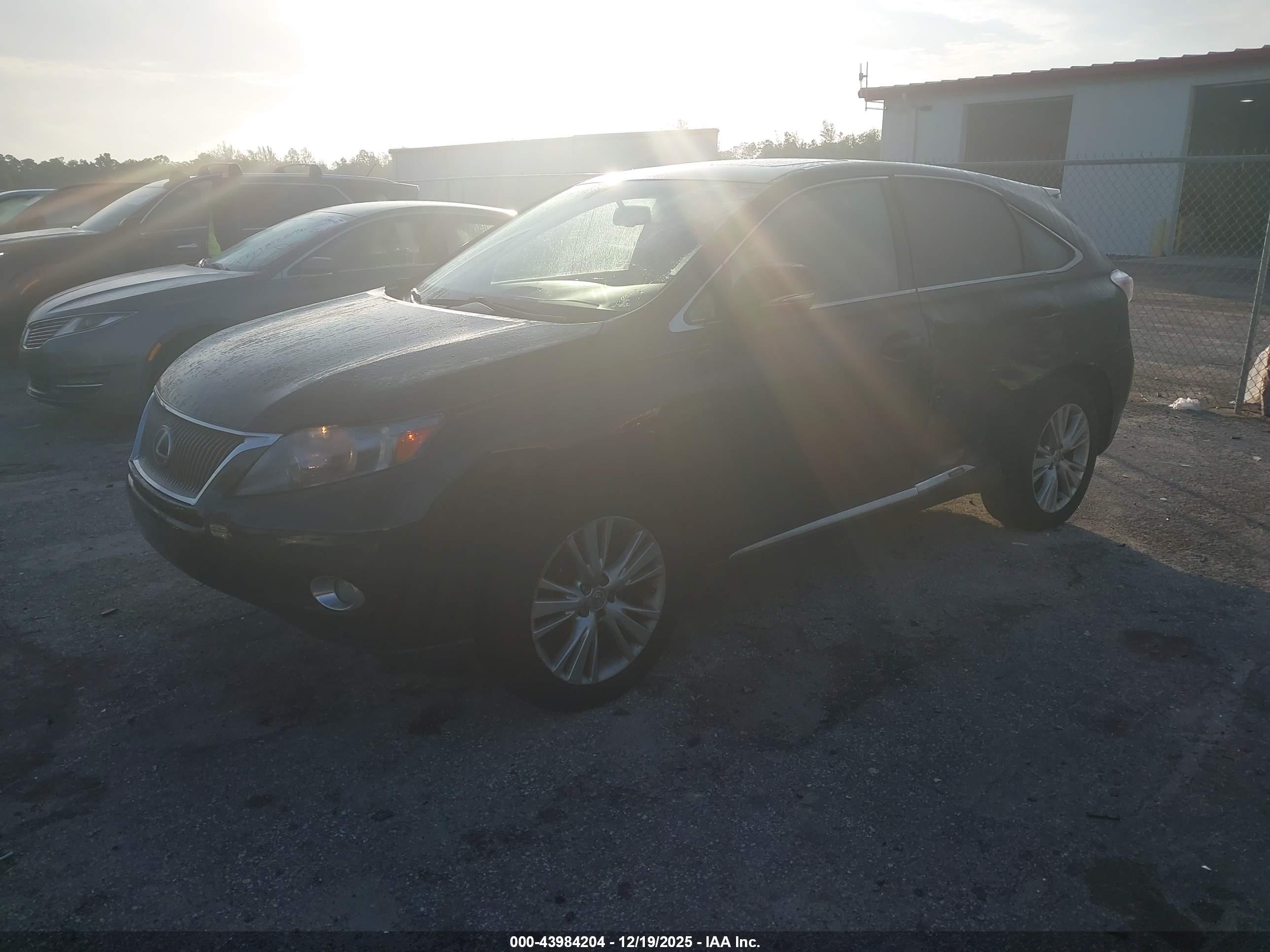LEXUS RX image 2