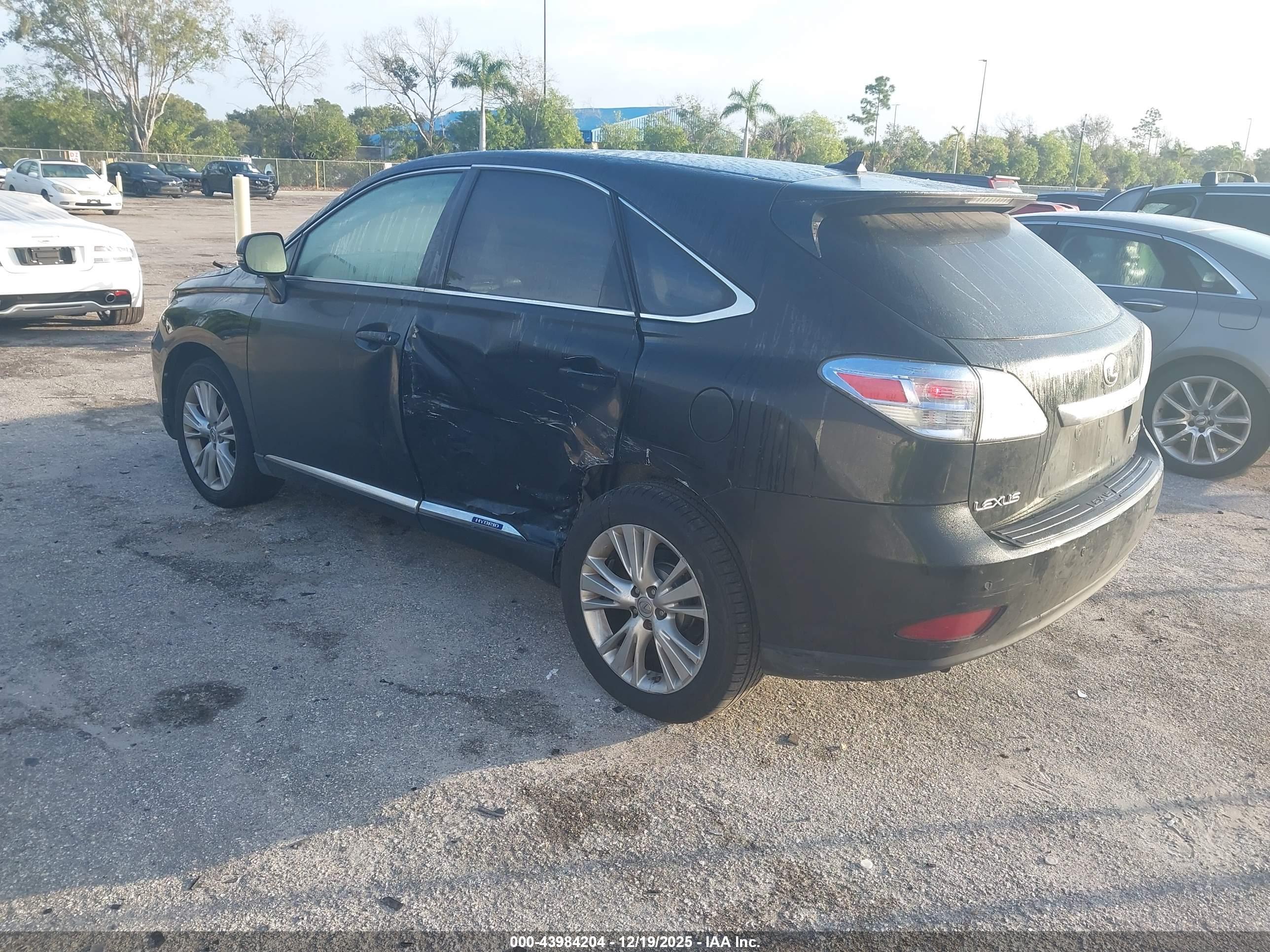 LEXUS RX image 3