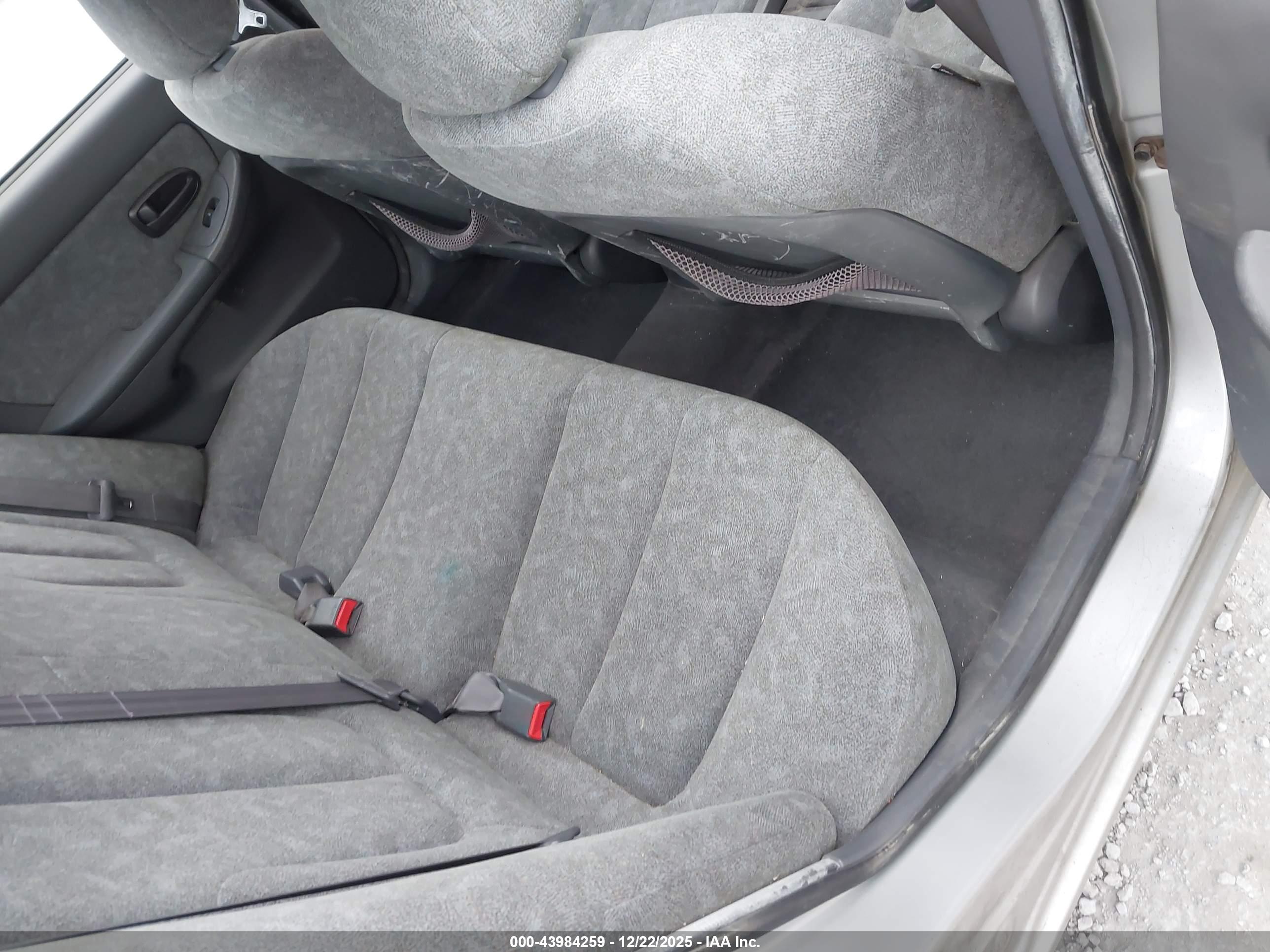 HYUNDAI ELANTRA image 8