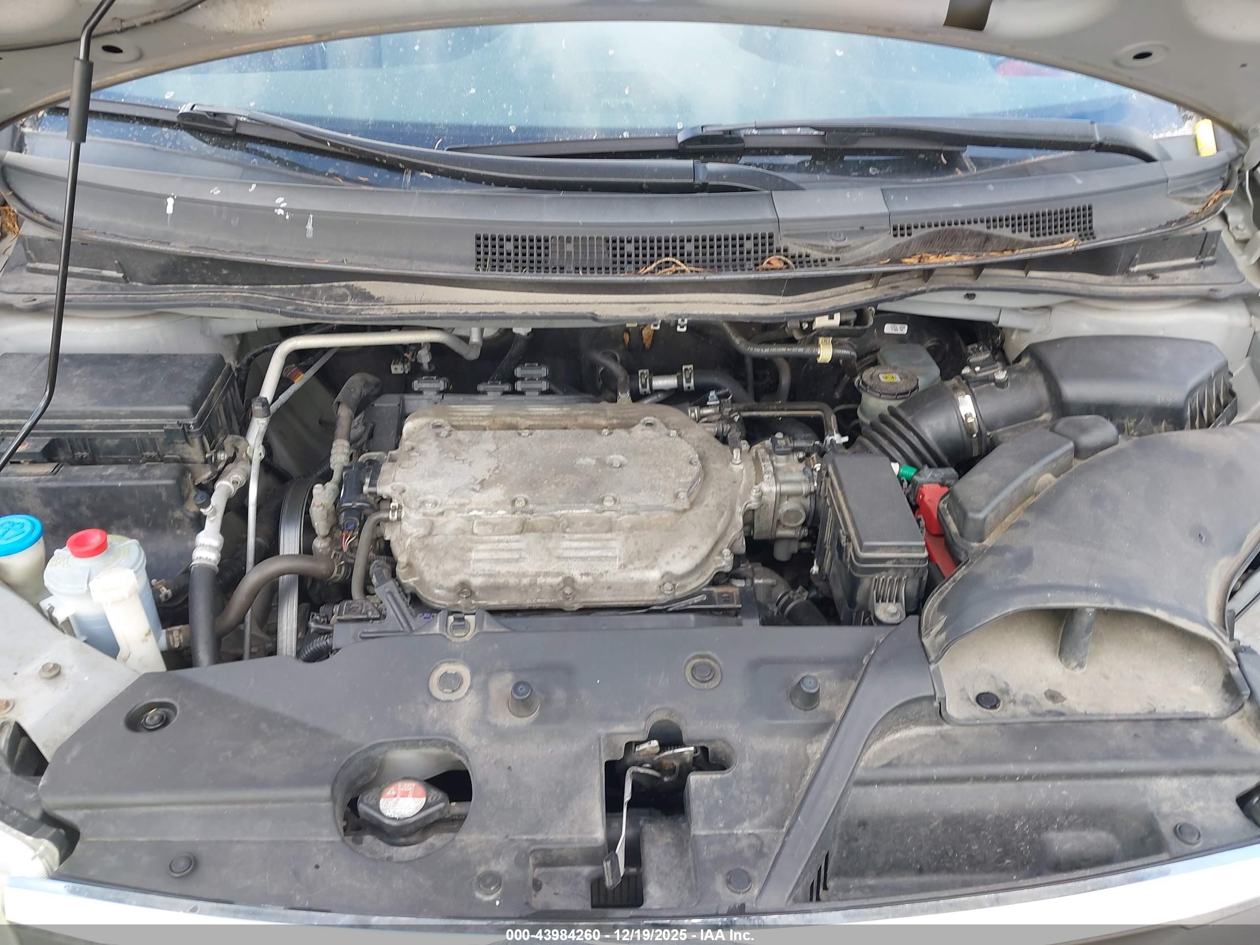 HONDA ODYSSEY image 10